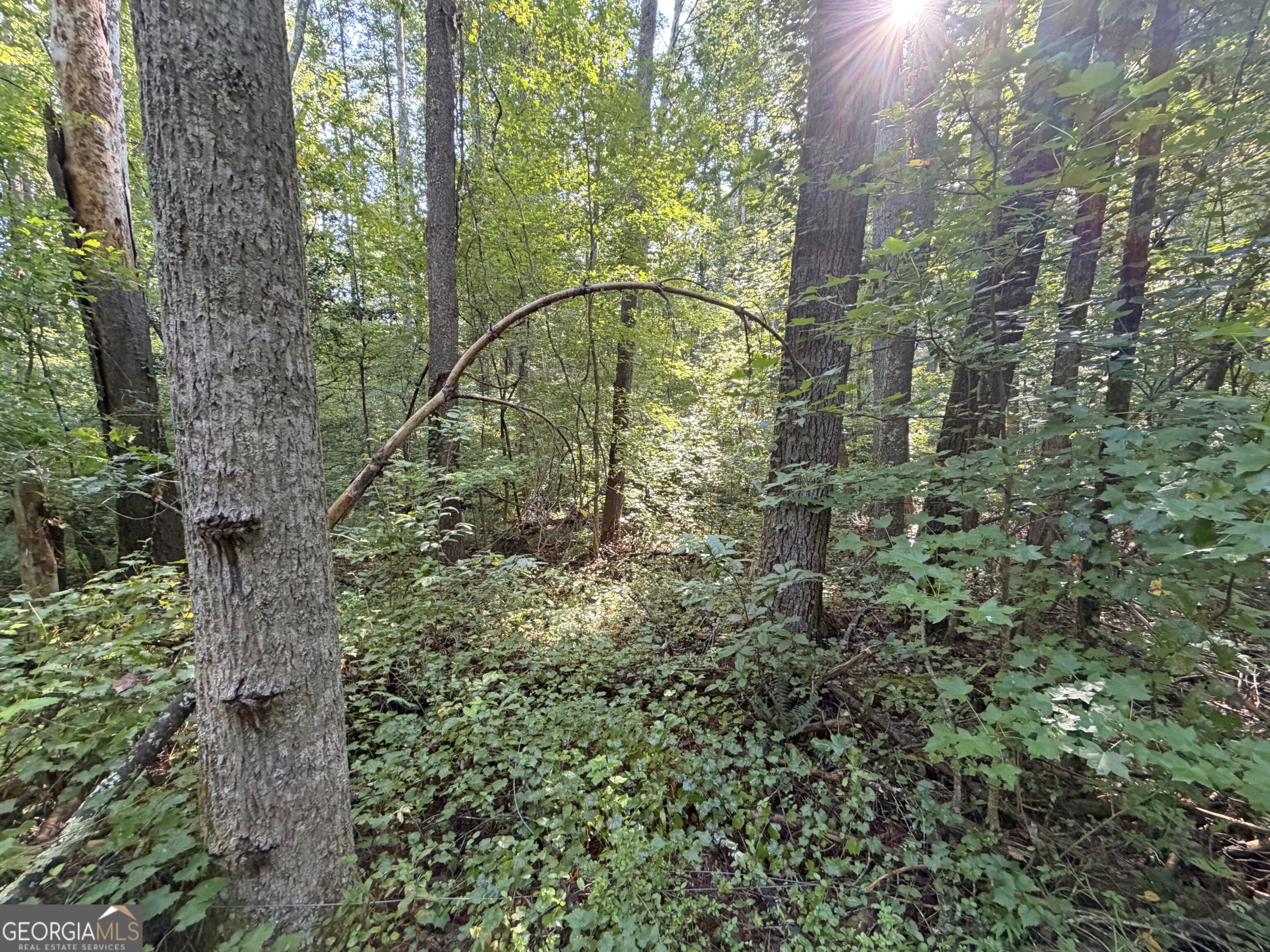 505 Hank Fry Road Property Photo 4