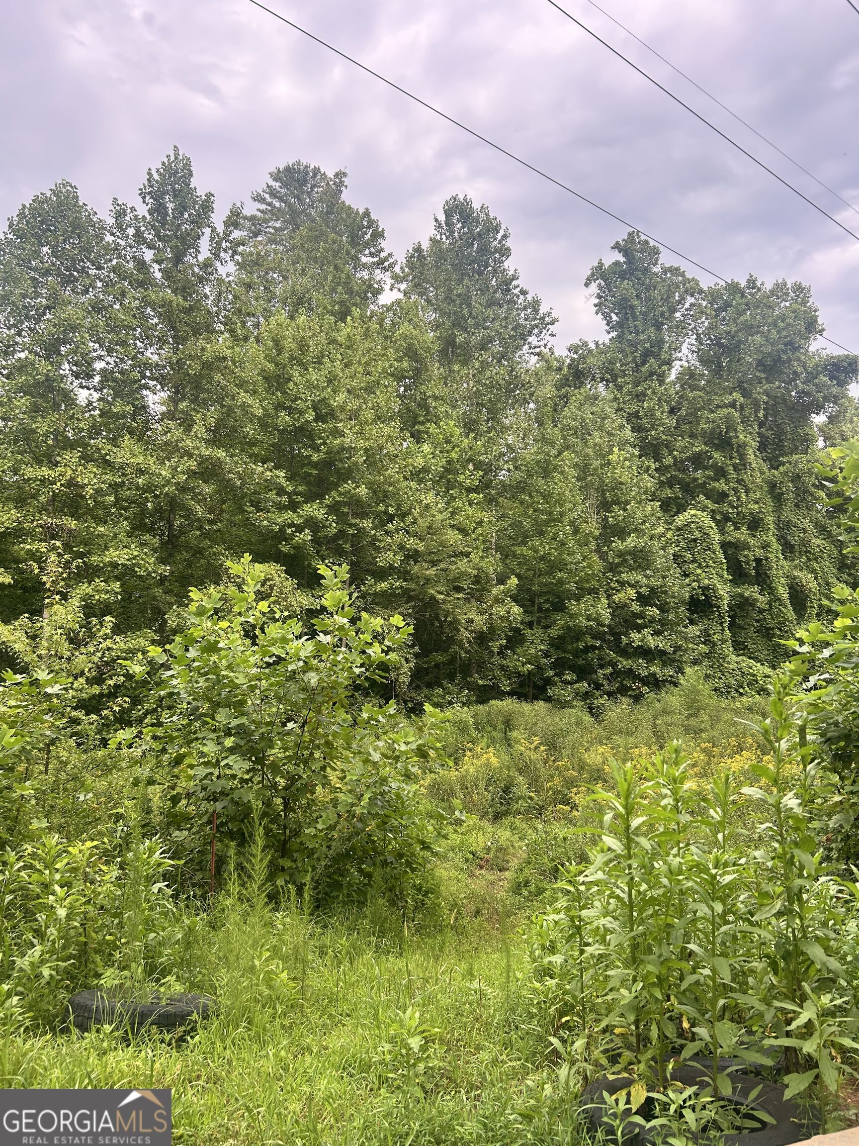 505 Hank Fry Road Property Photo 13