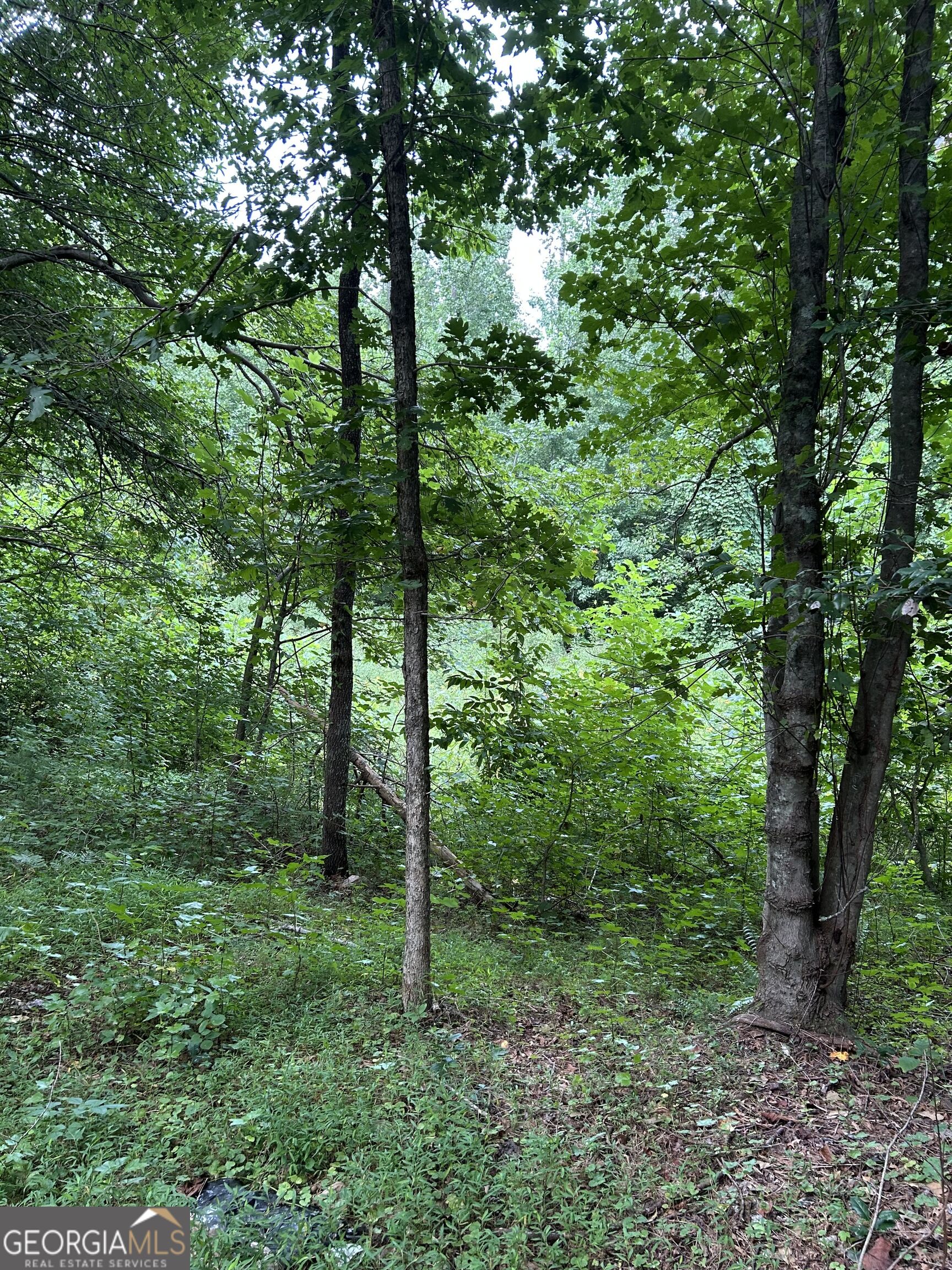 505 Hank Fry Road Property Photo 14
