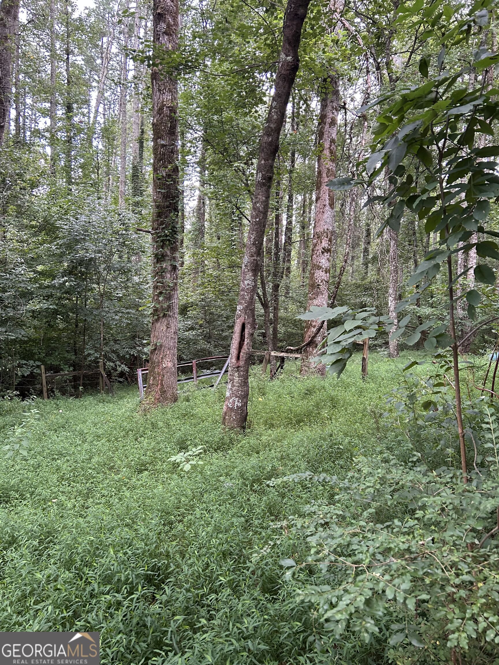 505 Hank Fry Road Property Photo 15