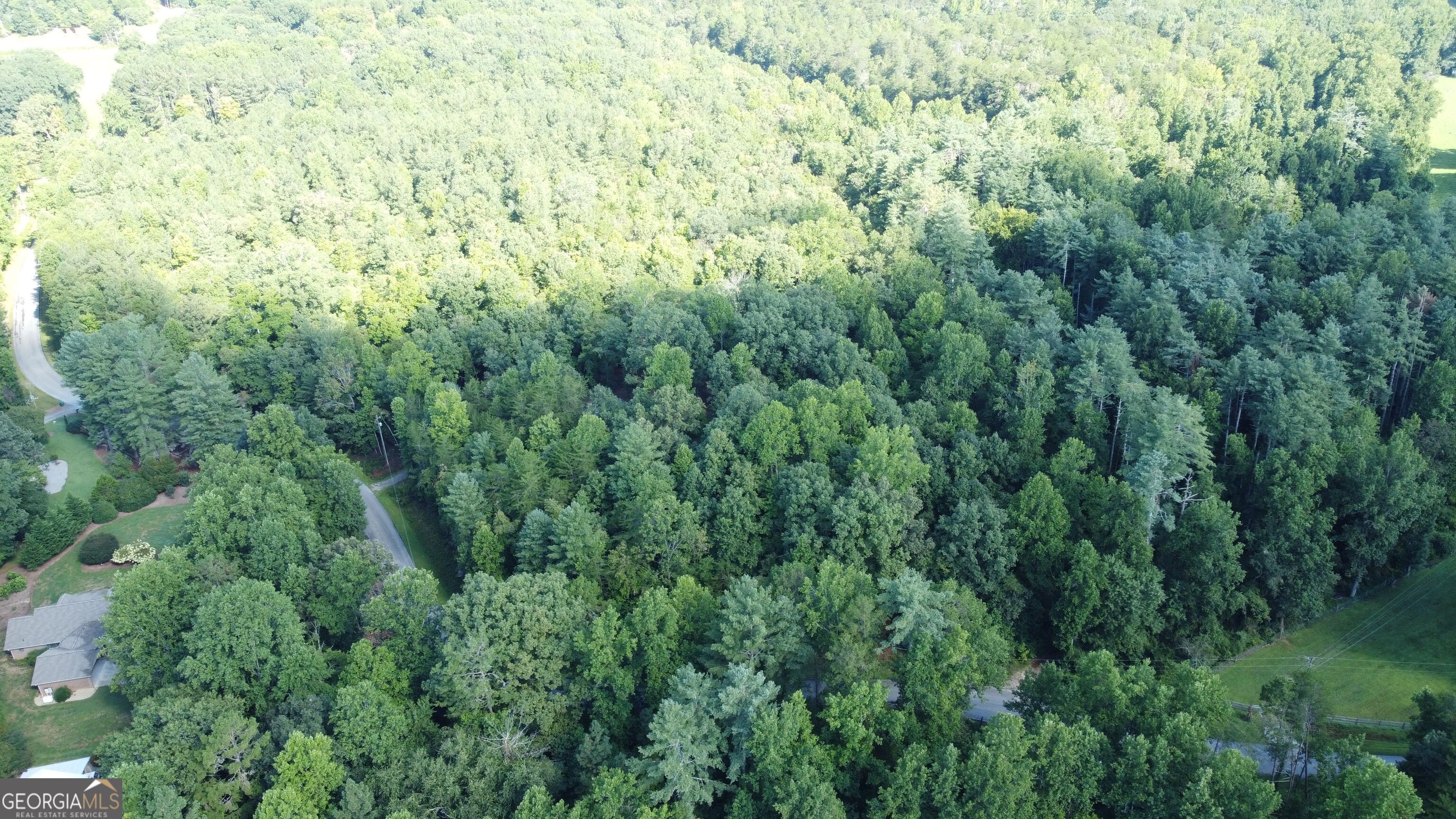 505 Hank Fry Road Property Photo 17