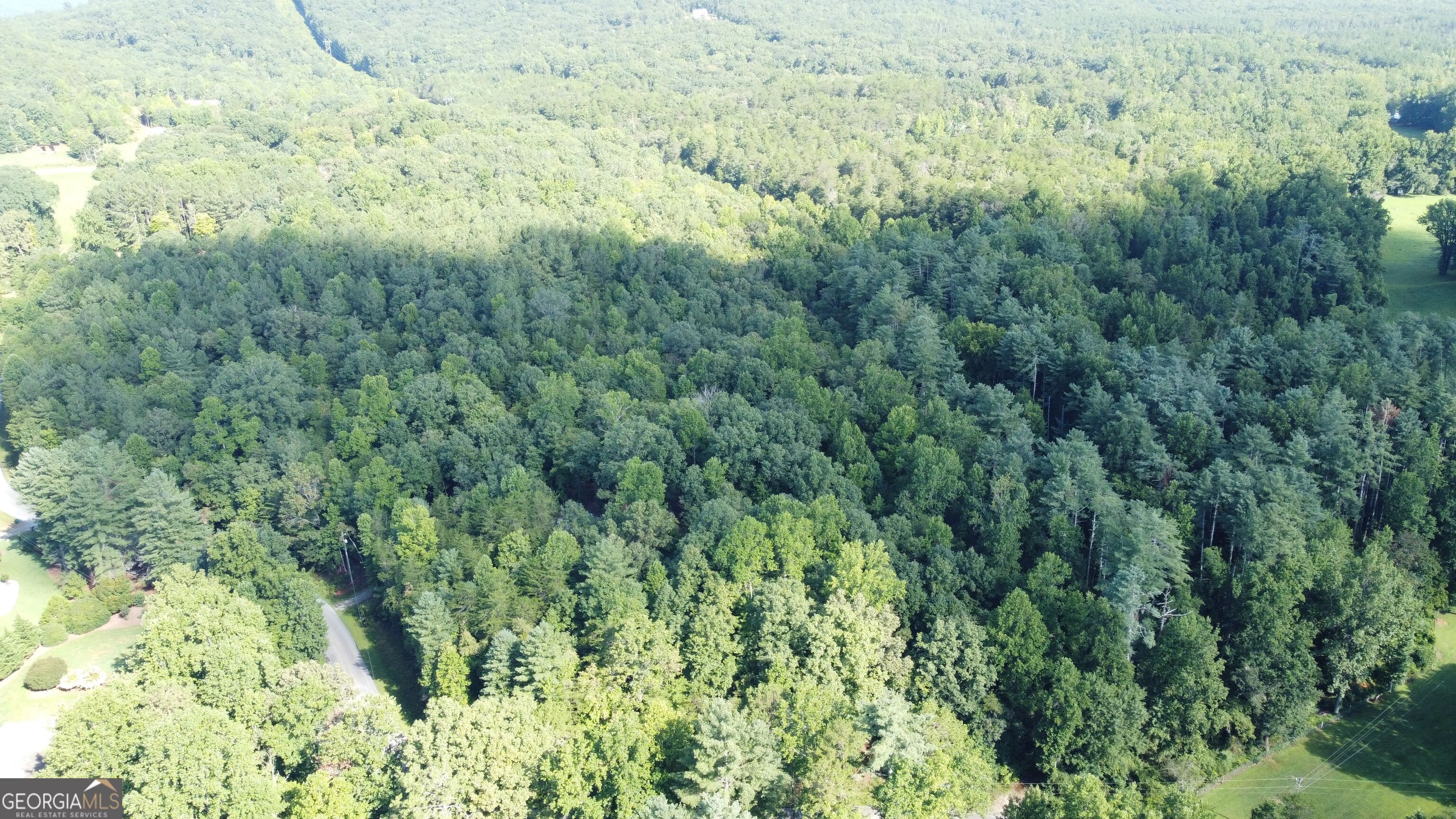 505 Hank Fry Road Property Photo 18