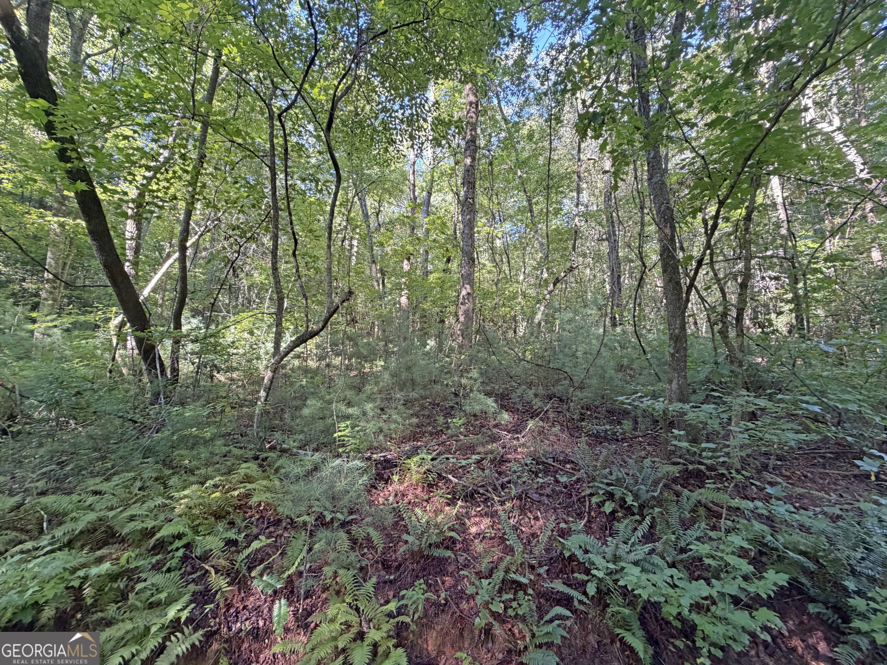 505 Hank Fry Road Property Photo 22
