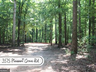 3575 Pleasant Grove Road Property Photo 1