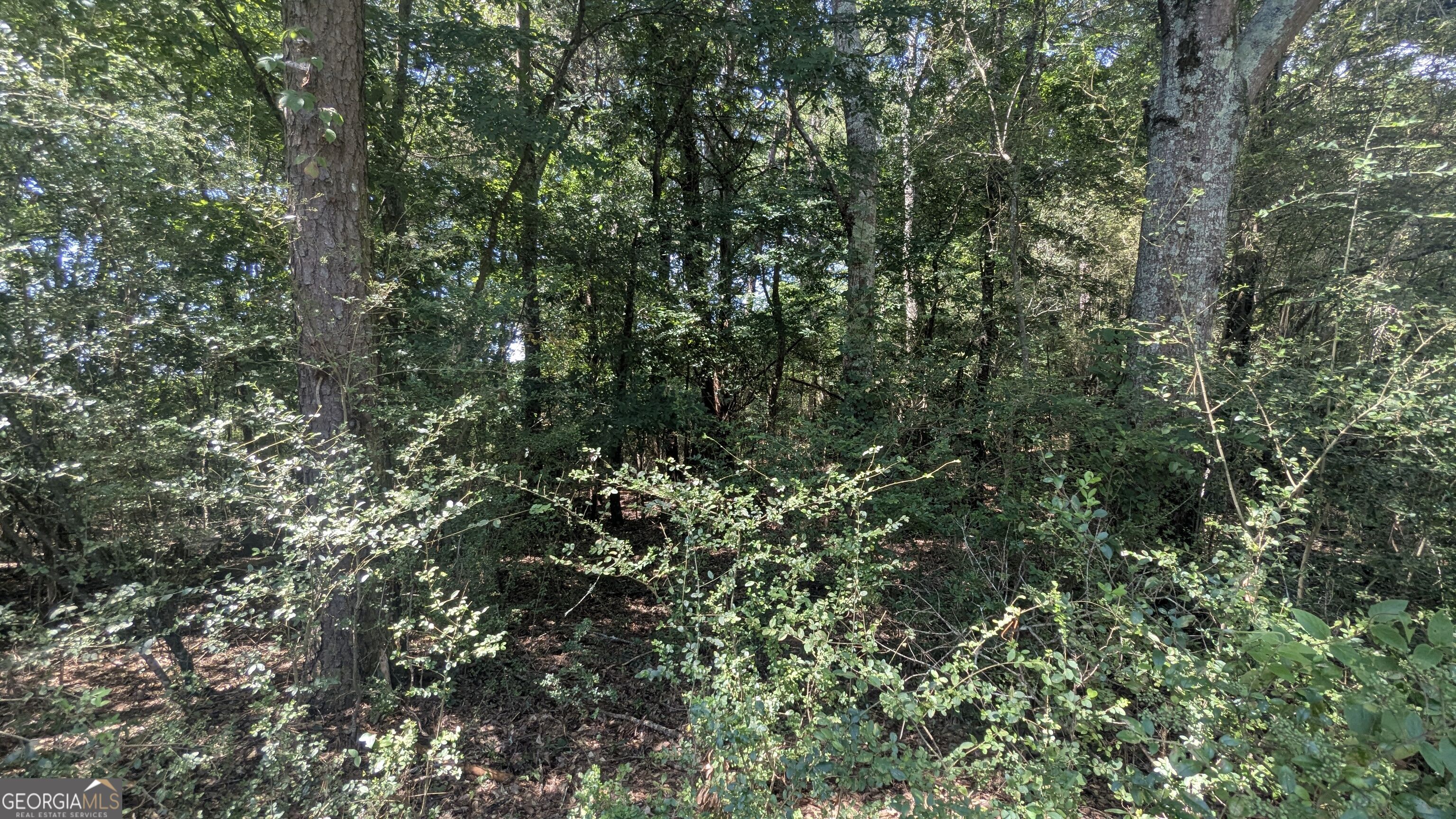9 Heather Circle Property Photo 6