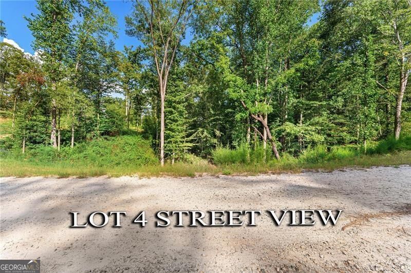 Lot 4 Stewart Loop Property Photo 5