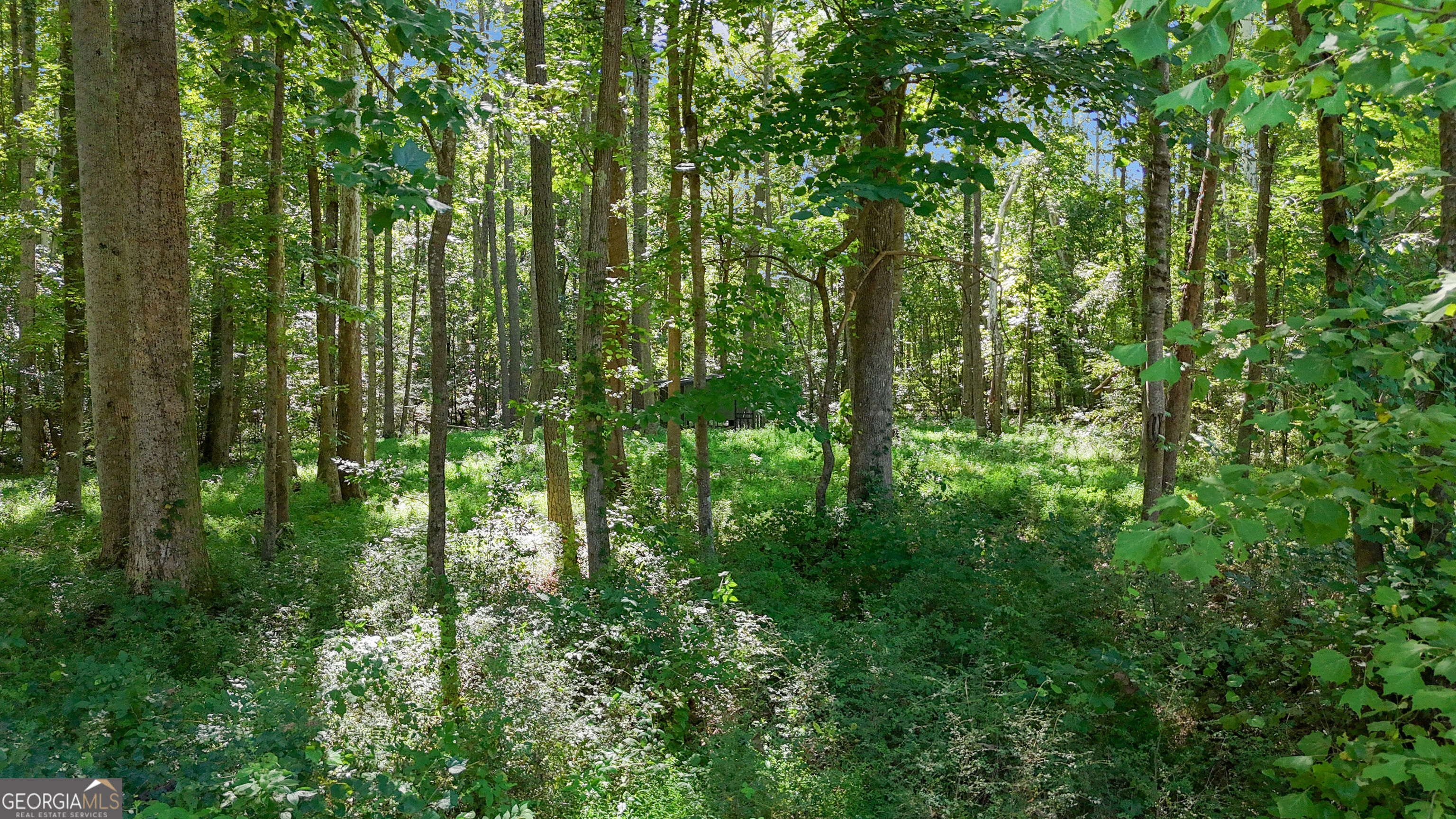 Lot 13 Wake Field Drive Property Photo 7