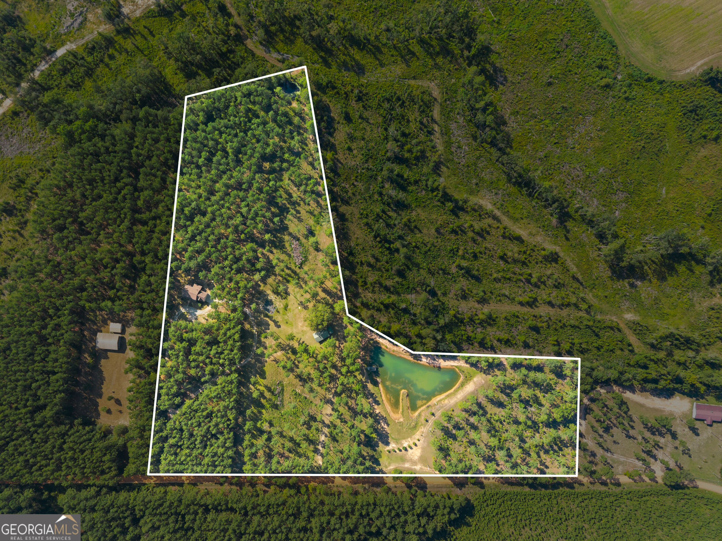 435 Canoochee Bypass Property Photo 4