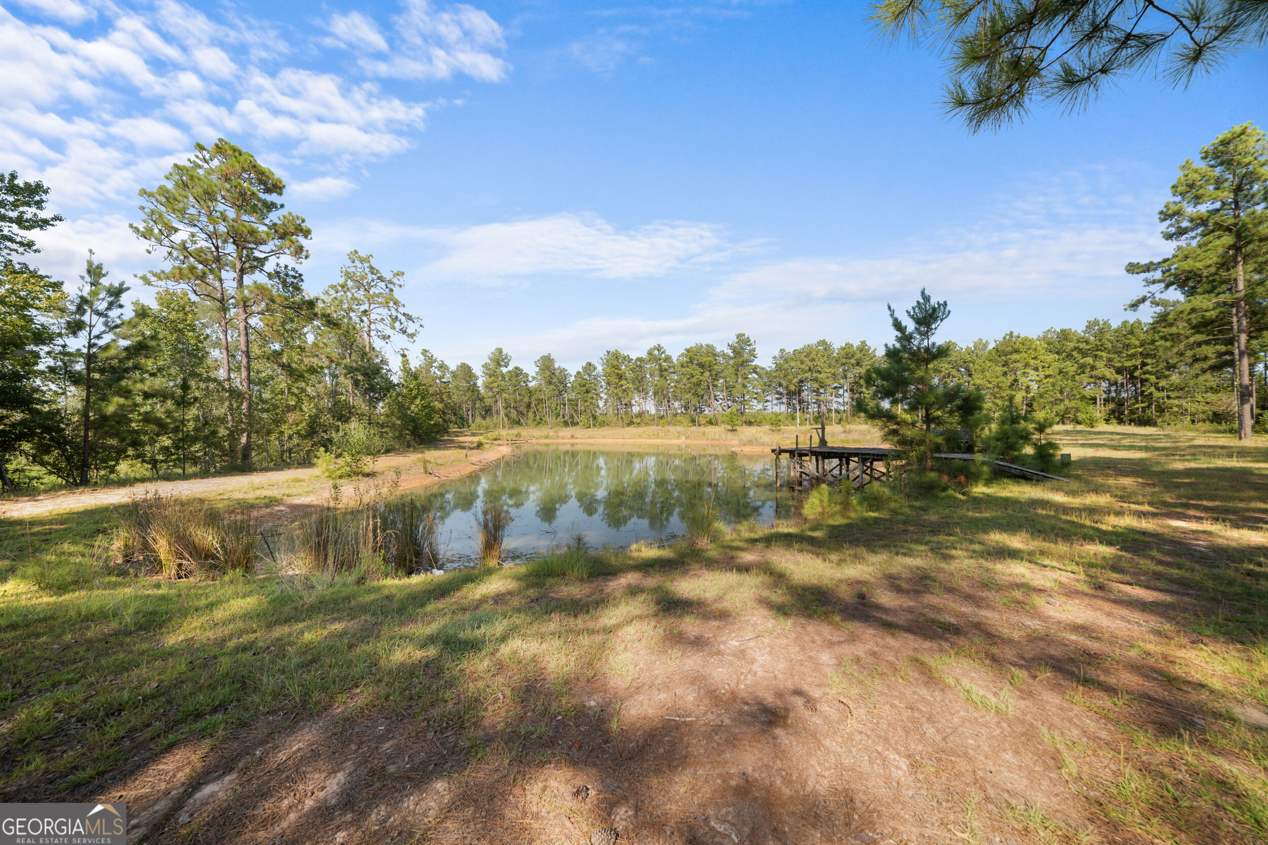 435 Canoochee Bypass Property Photo 45