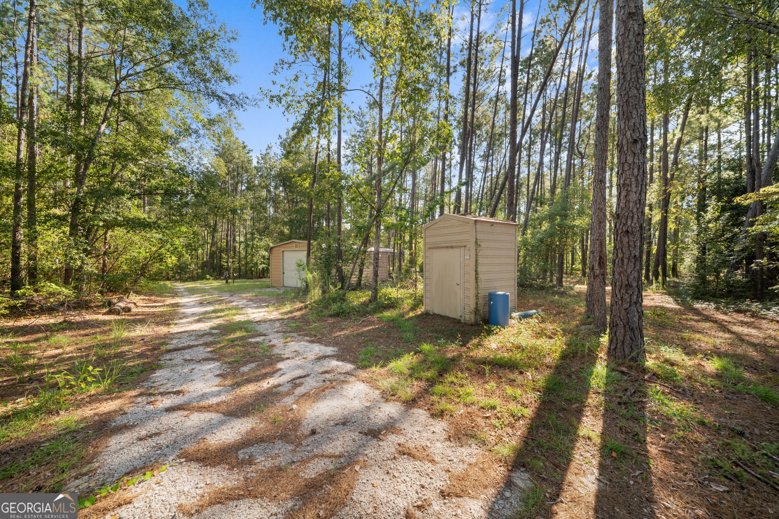 435 Canoochee Bypass Property Photo 46