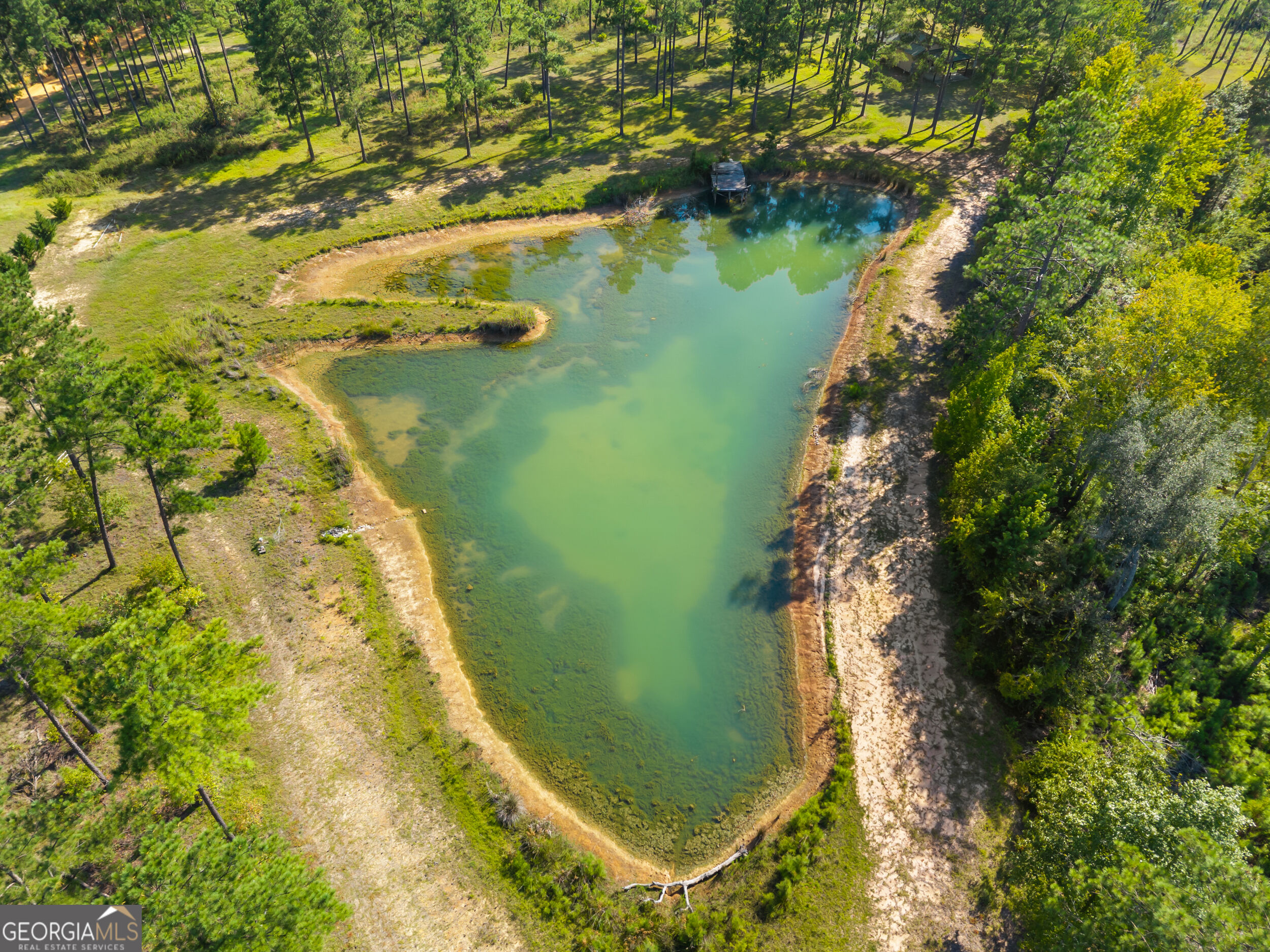 435 Canoochee Bypass Property Photo 51
