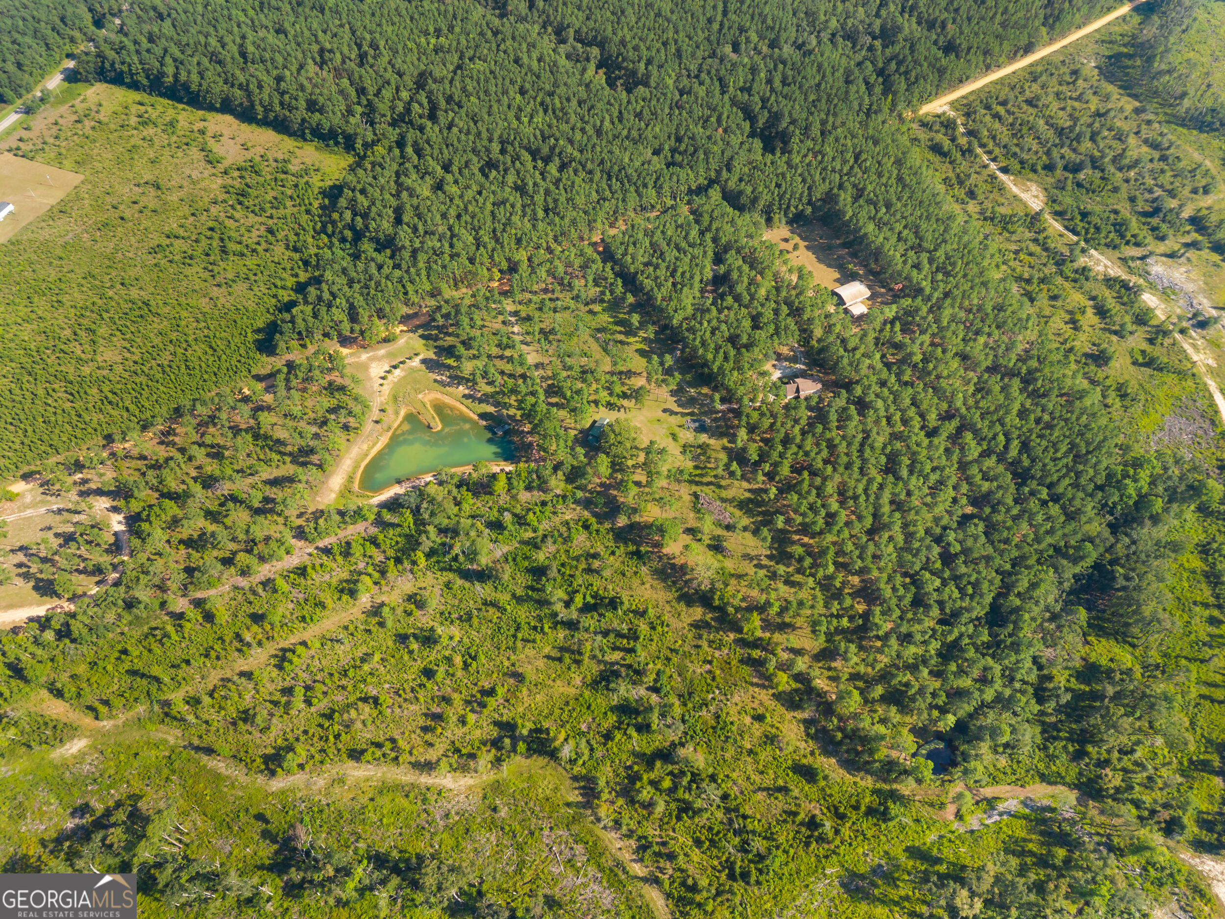 435 Canoochee Bypass Property Photo 53
