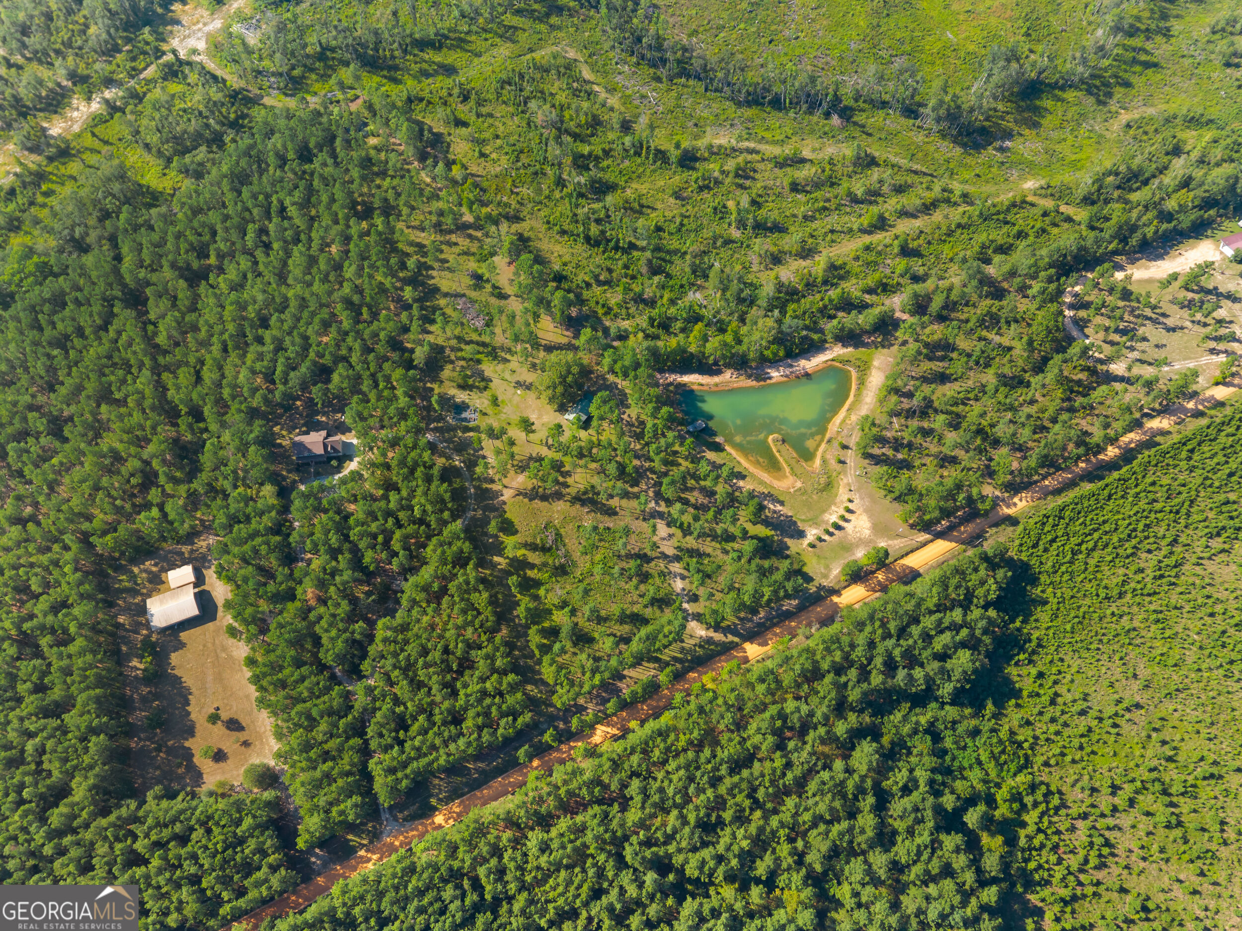 435 Canoochee Bypass Property Photo 54