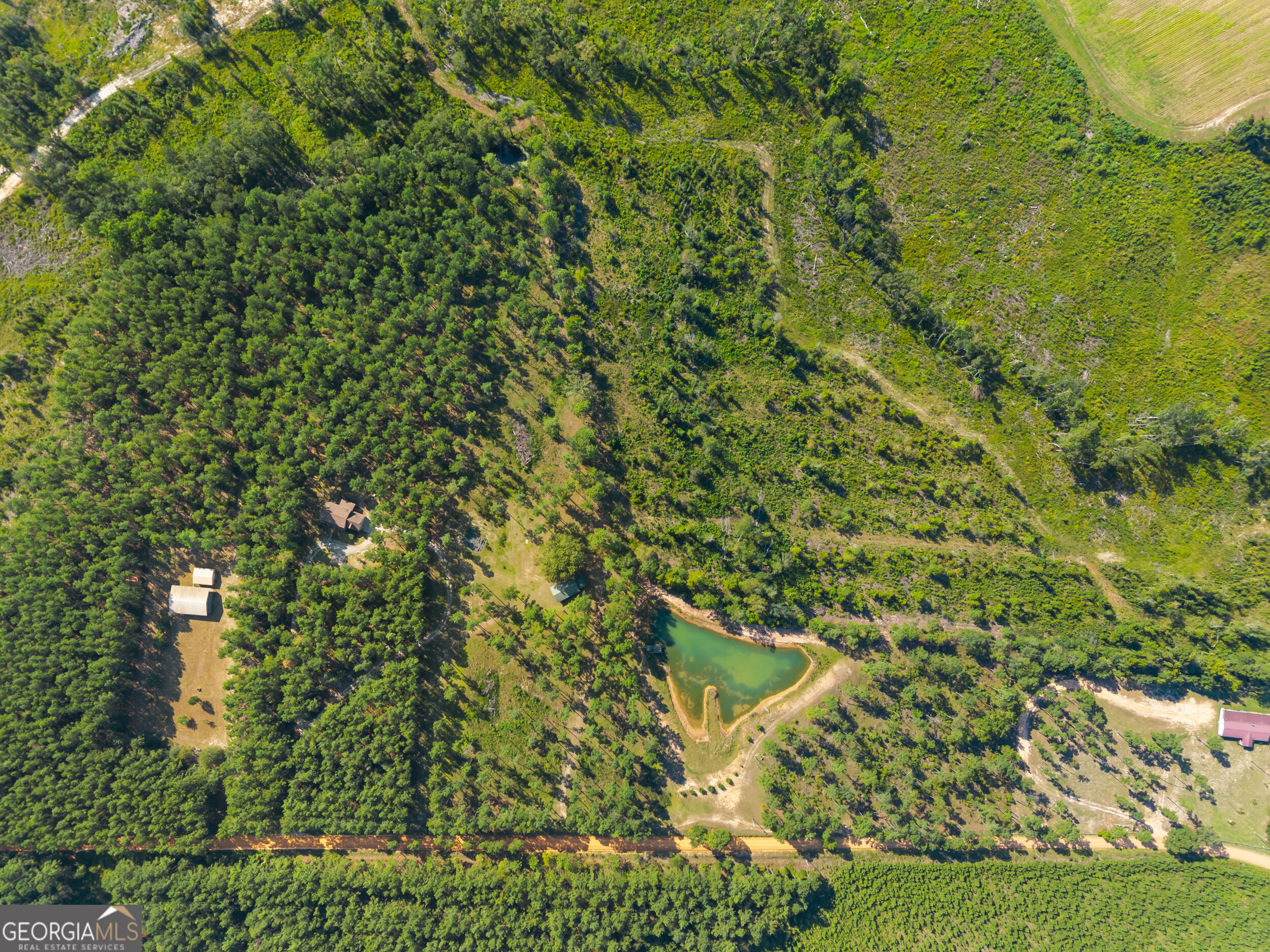 435 Canoochee Bypass Property Photo 55