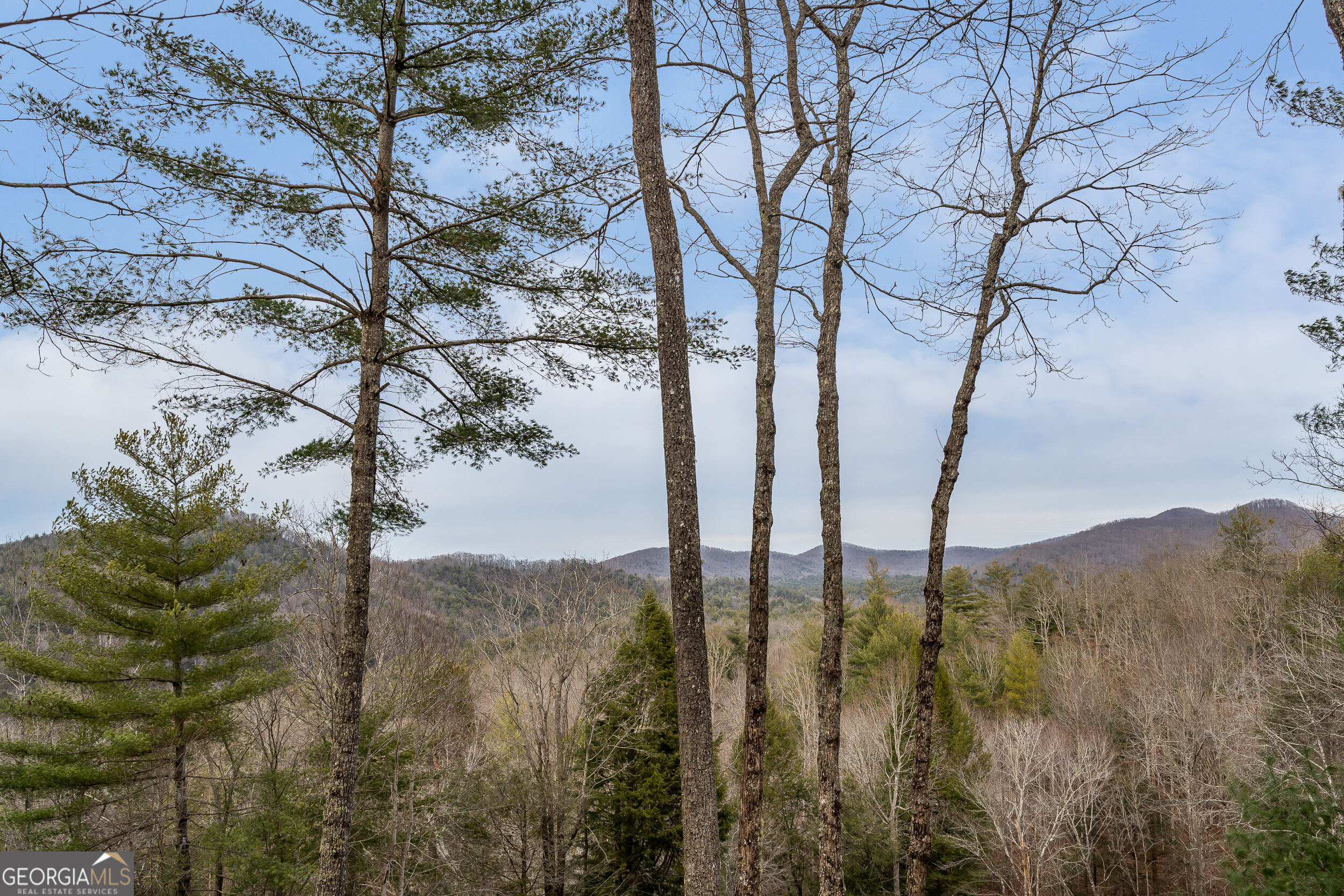 131 Toccoa Overlook Lane Property Photo 2