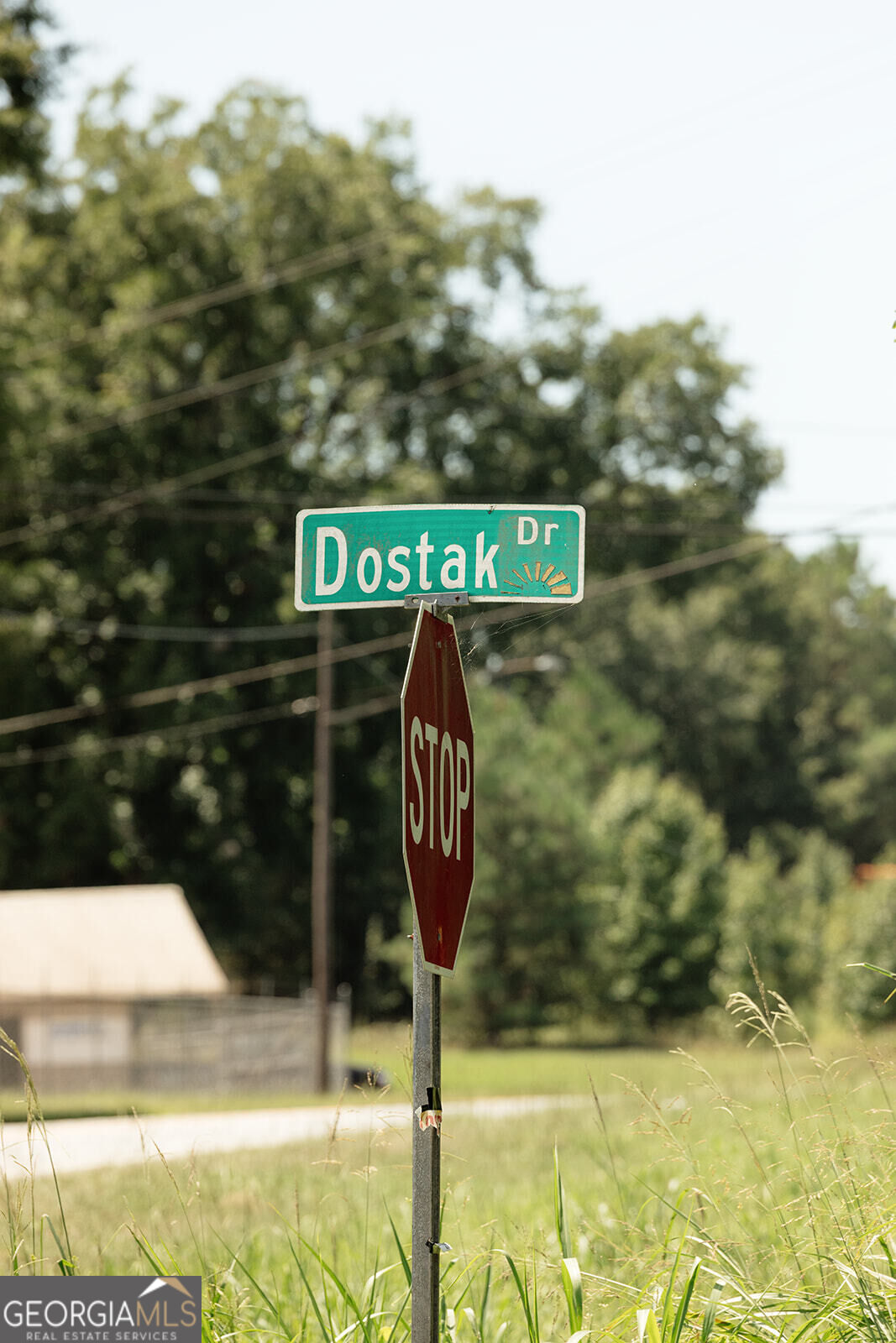Lot 18 Hwy 29 + Dostak Property Photo 13