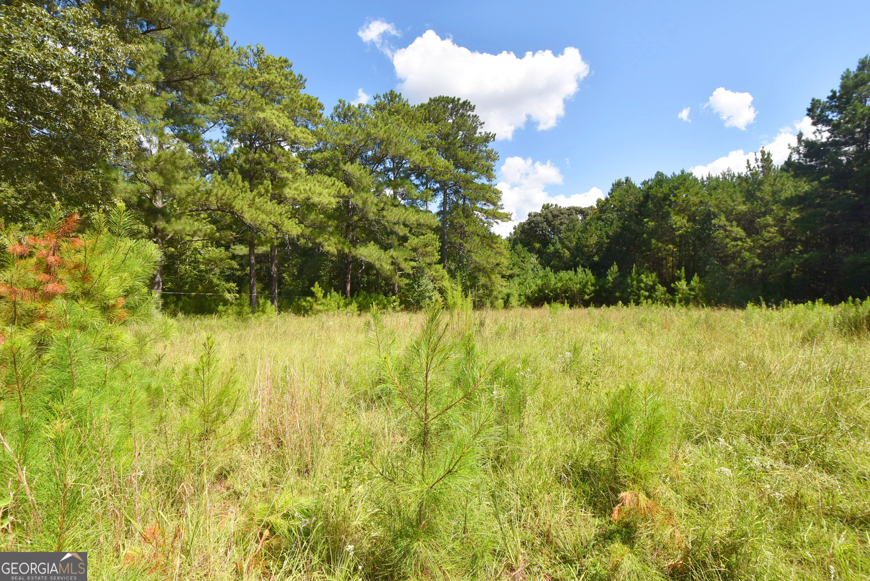 269 N Dorsey Road Property Photo 48