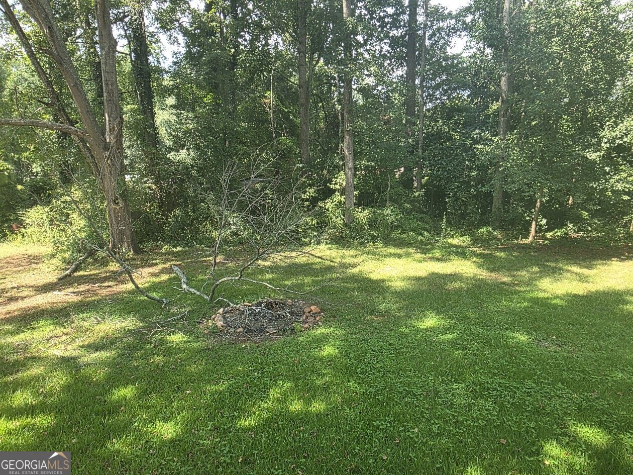 162 Fallin Street Property Photo 28