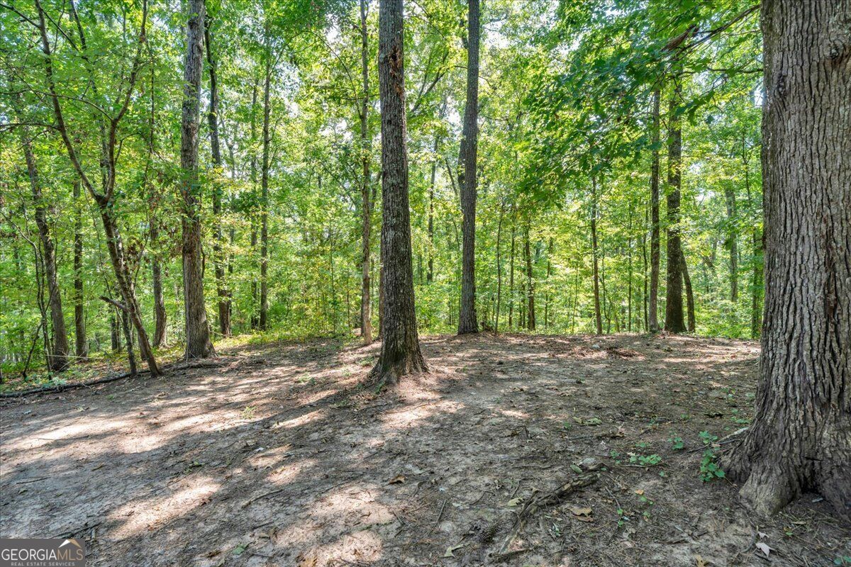 531 Starling Drive Property Photo 68