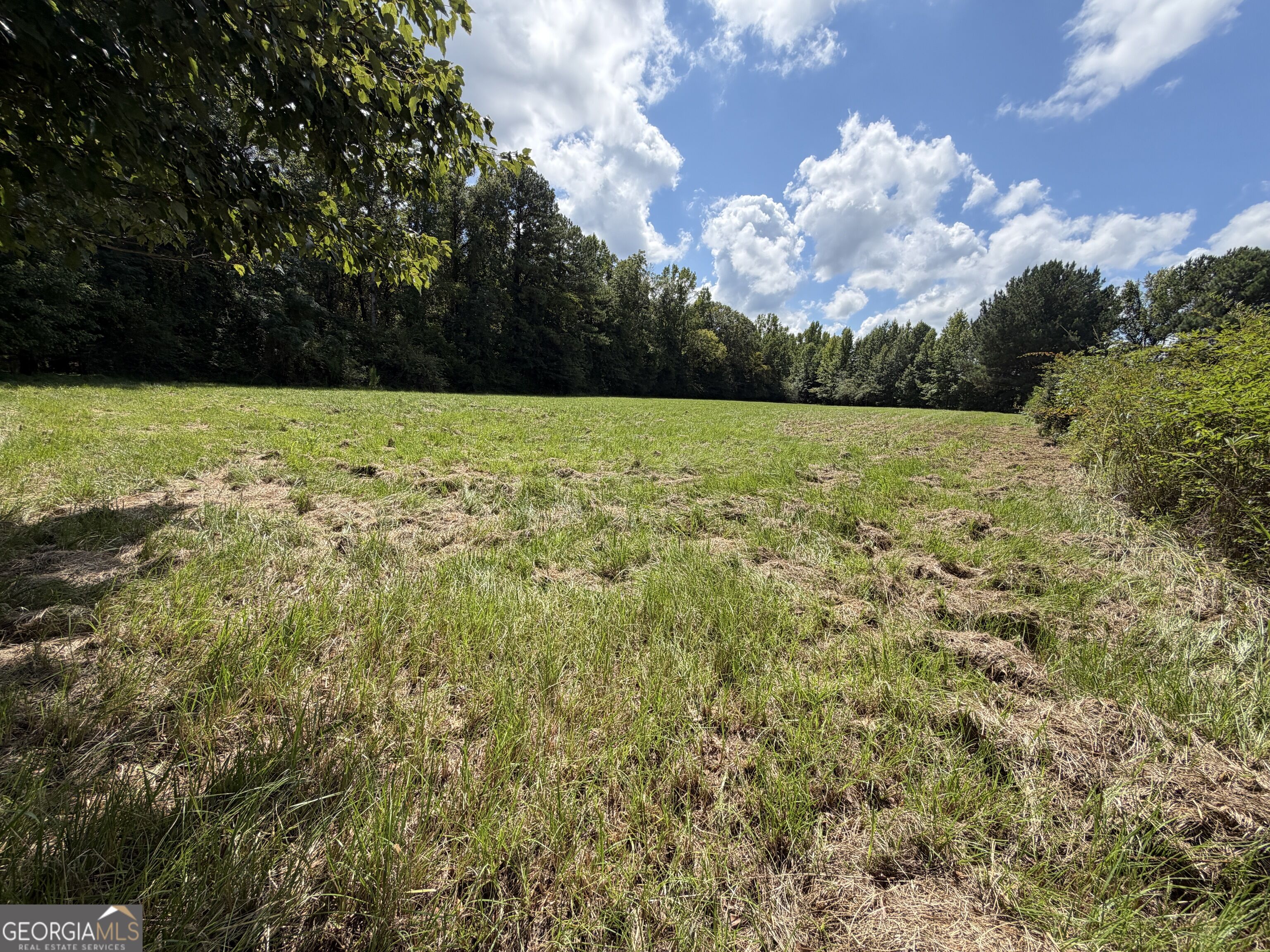 7.65 Acres Baker Road Property Photo 11