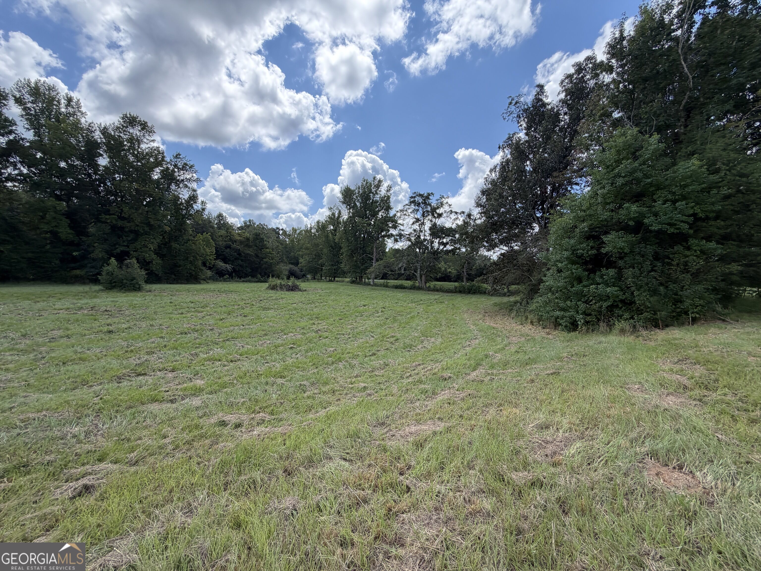7.65 Acres Baker Road Property Photo 13