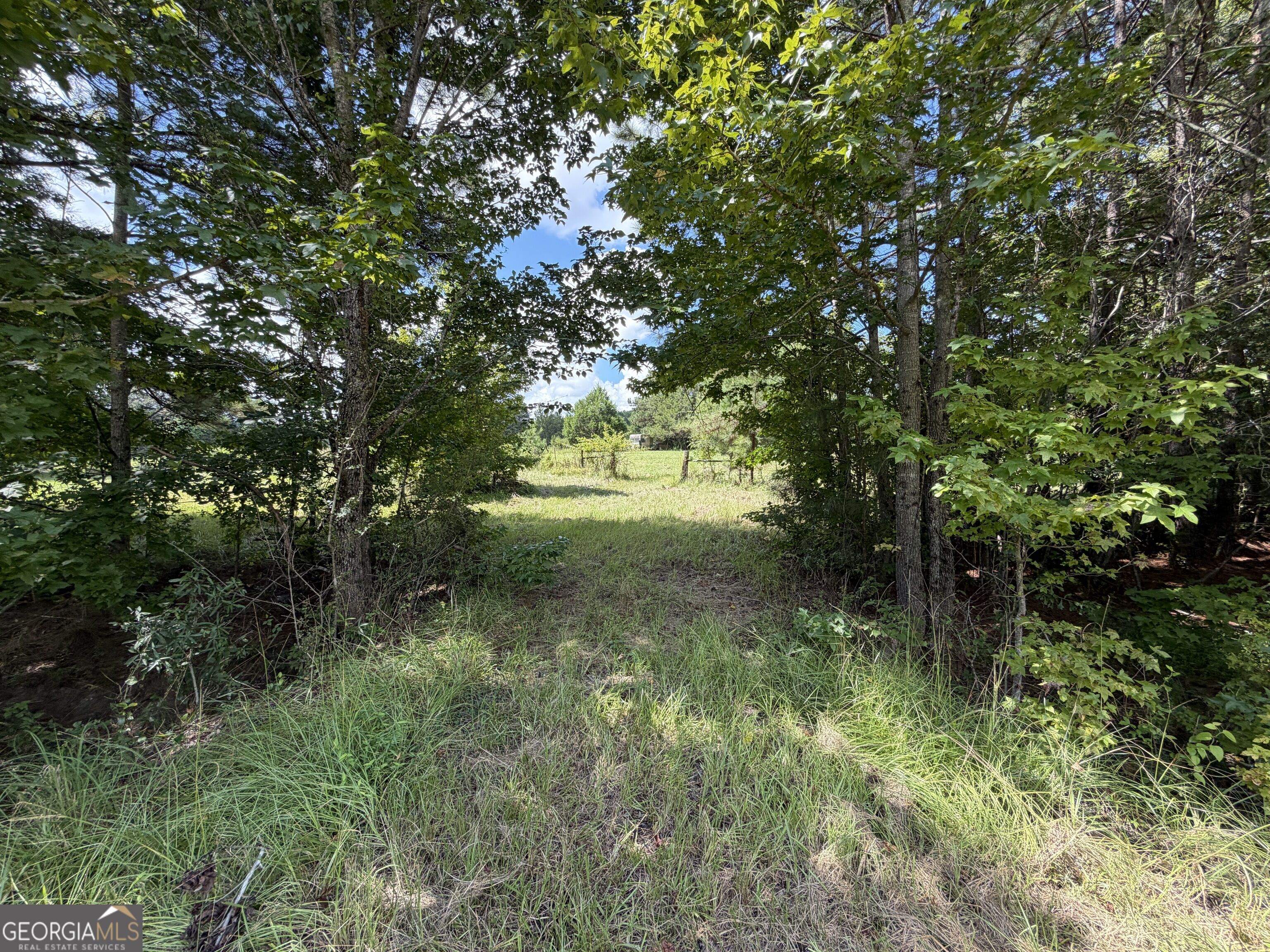 7.65 Acres Baker Road Property Photo 15