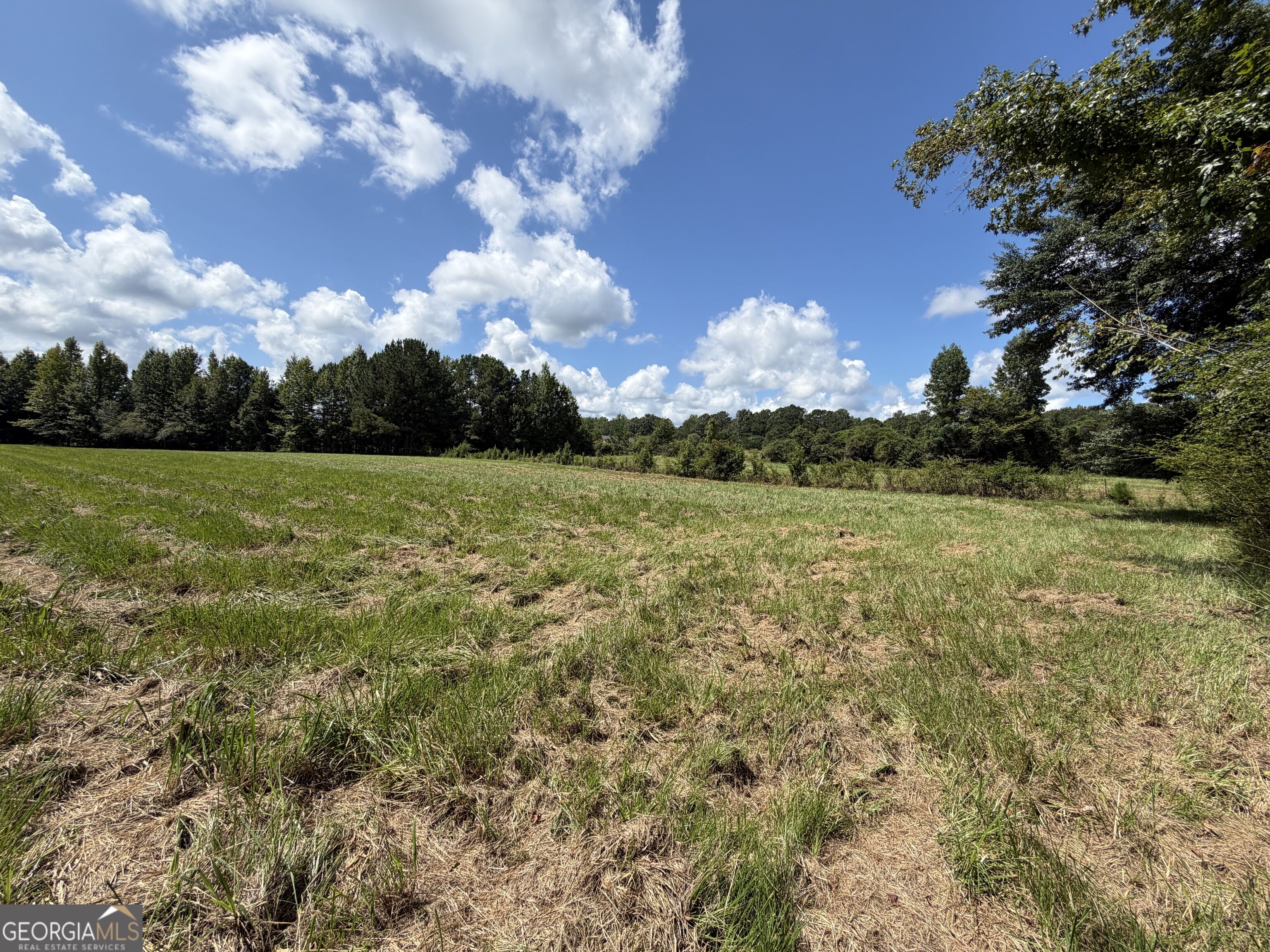 7.65 Acres Baker Road Property Photo 17