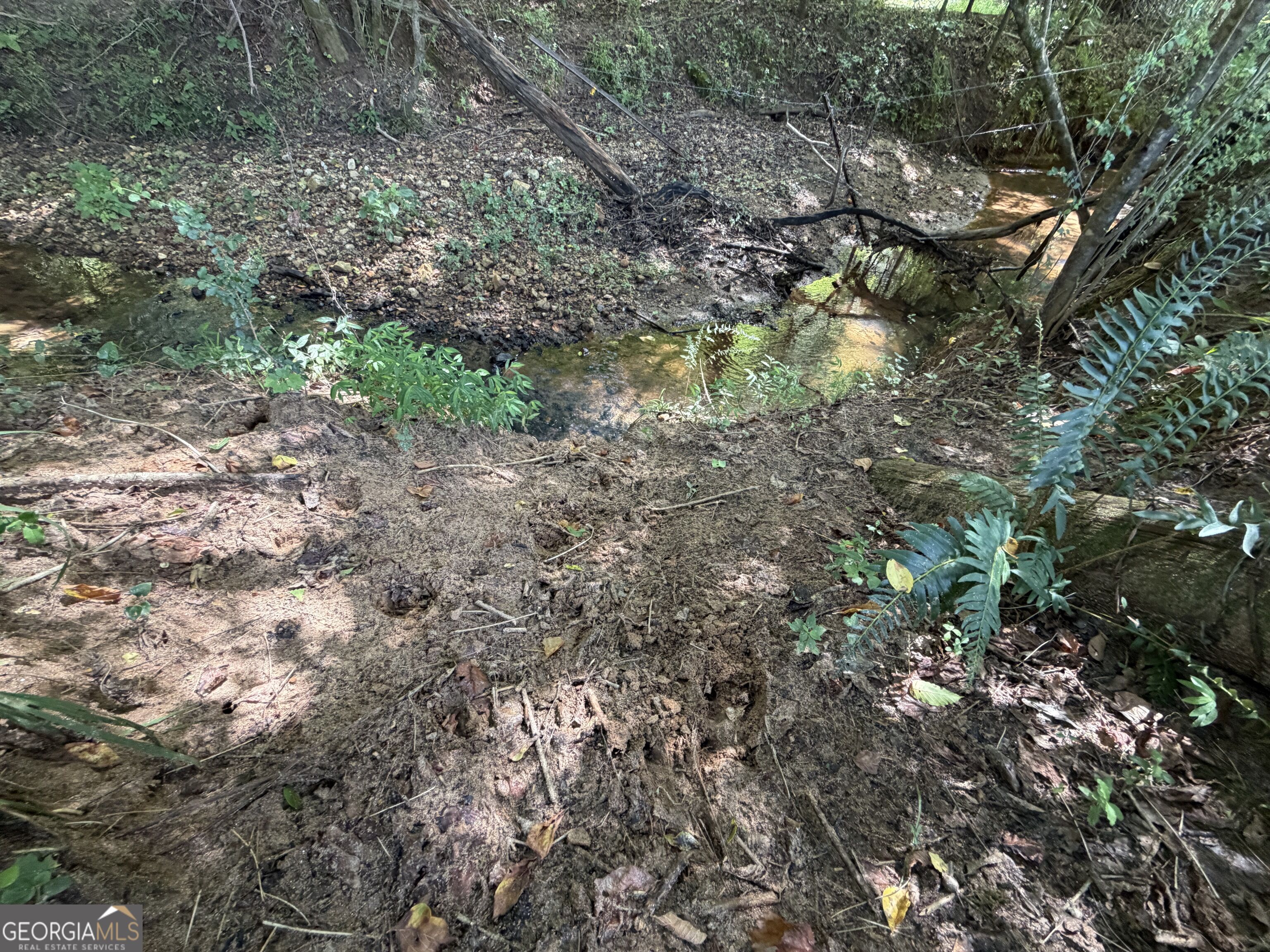 7.65 Acres Baker Road Property Photo 18