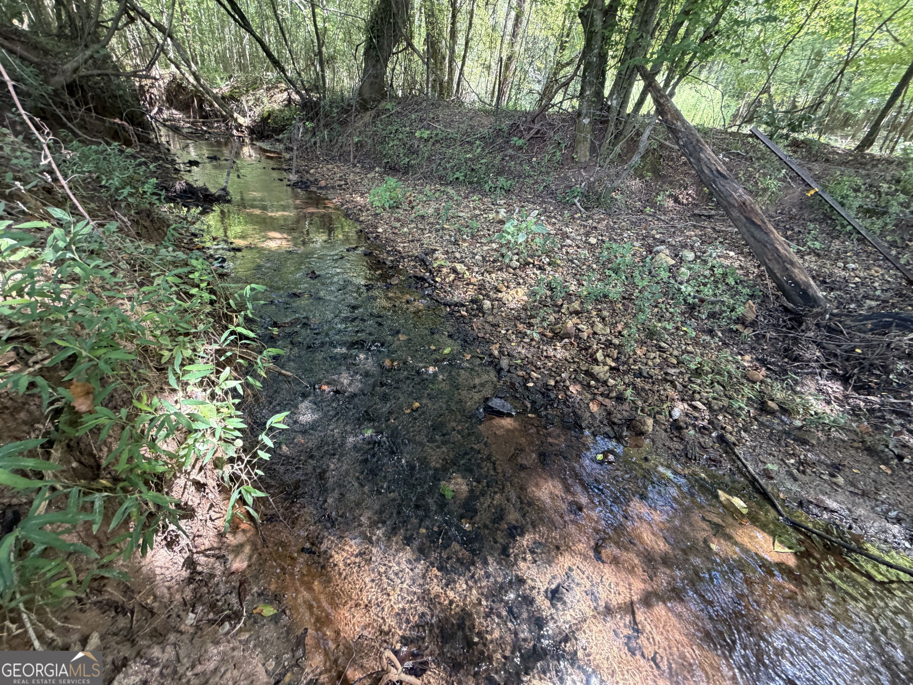 7.65 Acres Baker Road Property Photo 19