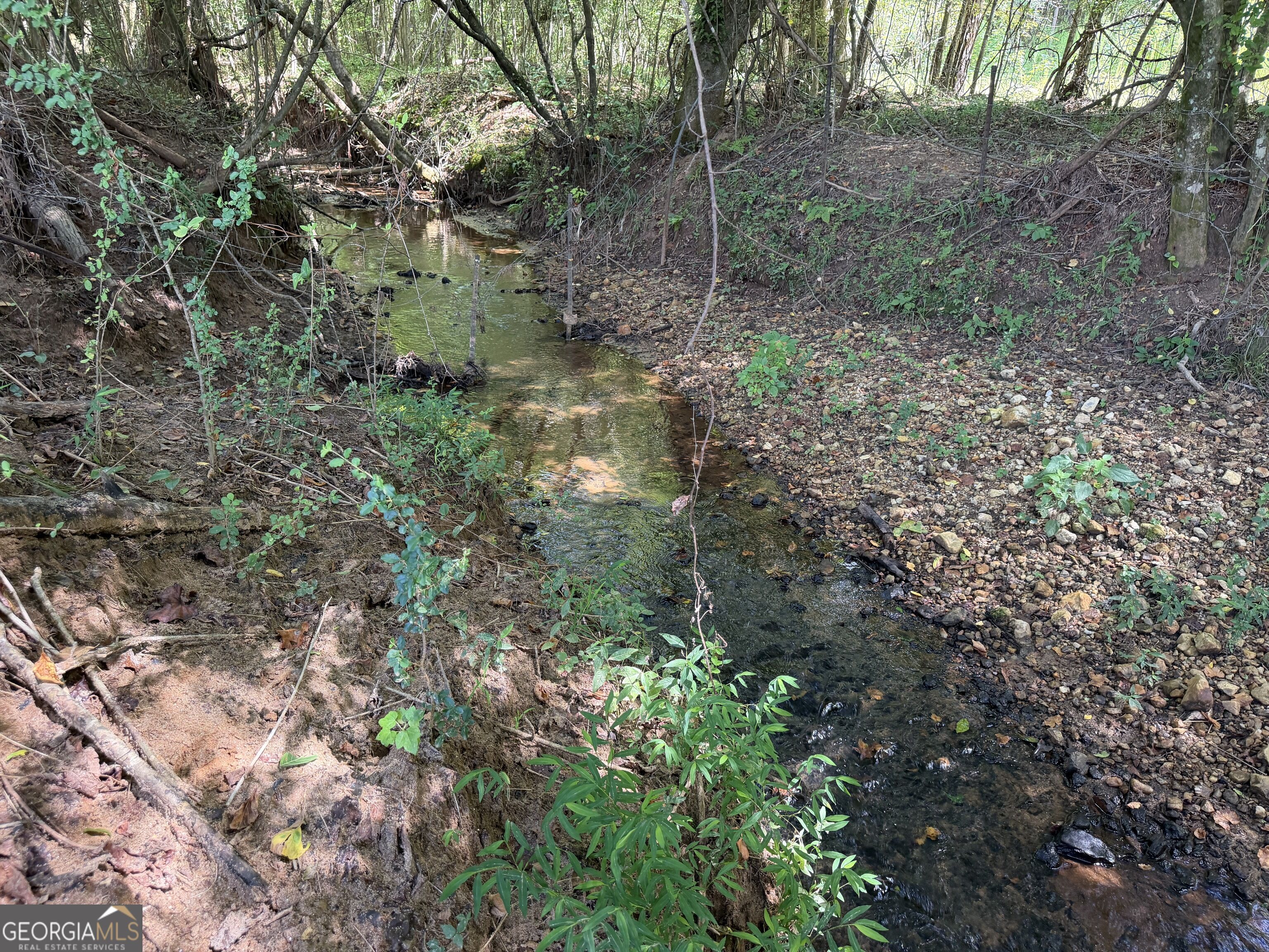 7.65 Acres Baker Road Property Photo 23