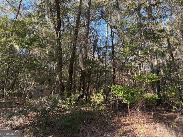 0 Trade Hill Road Property Photo 7