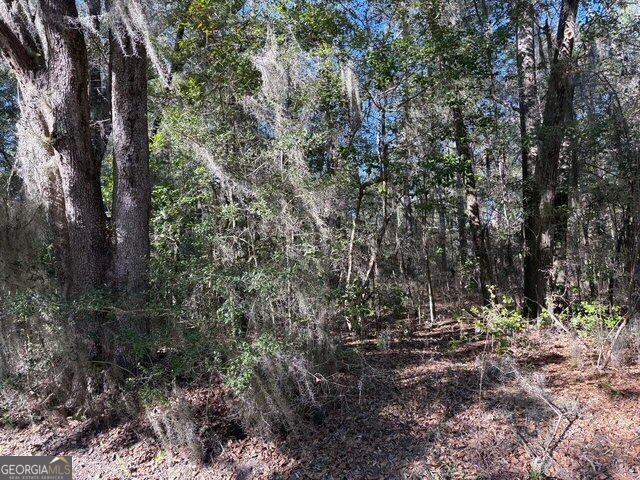 0 Trade Hill Road Property Photo 9