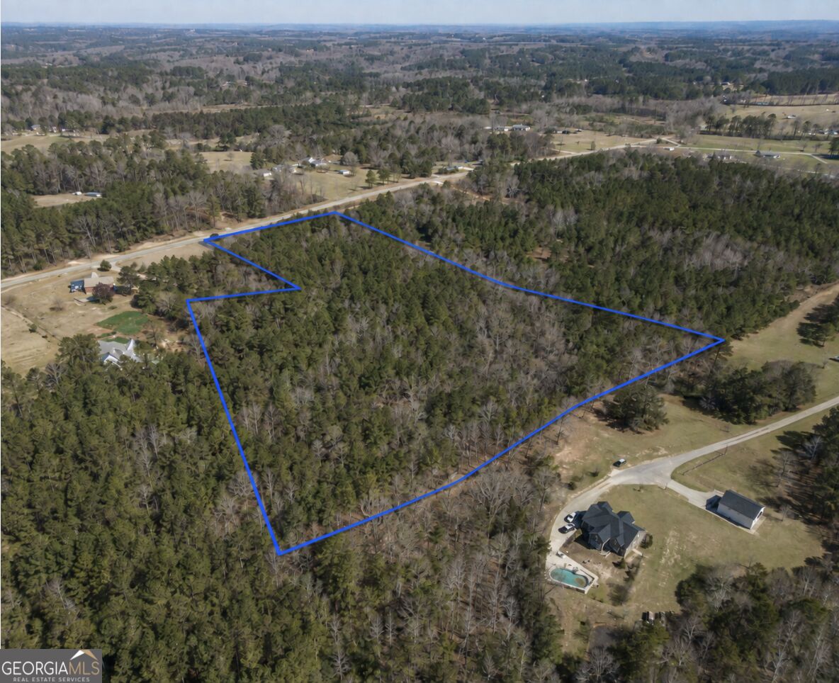 0 Lee Thompson Road Property Photo 2
