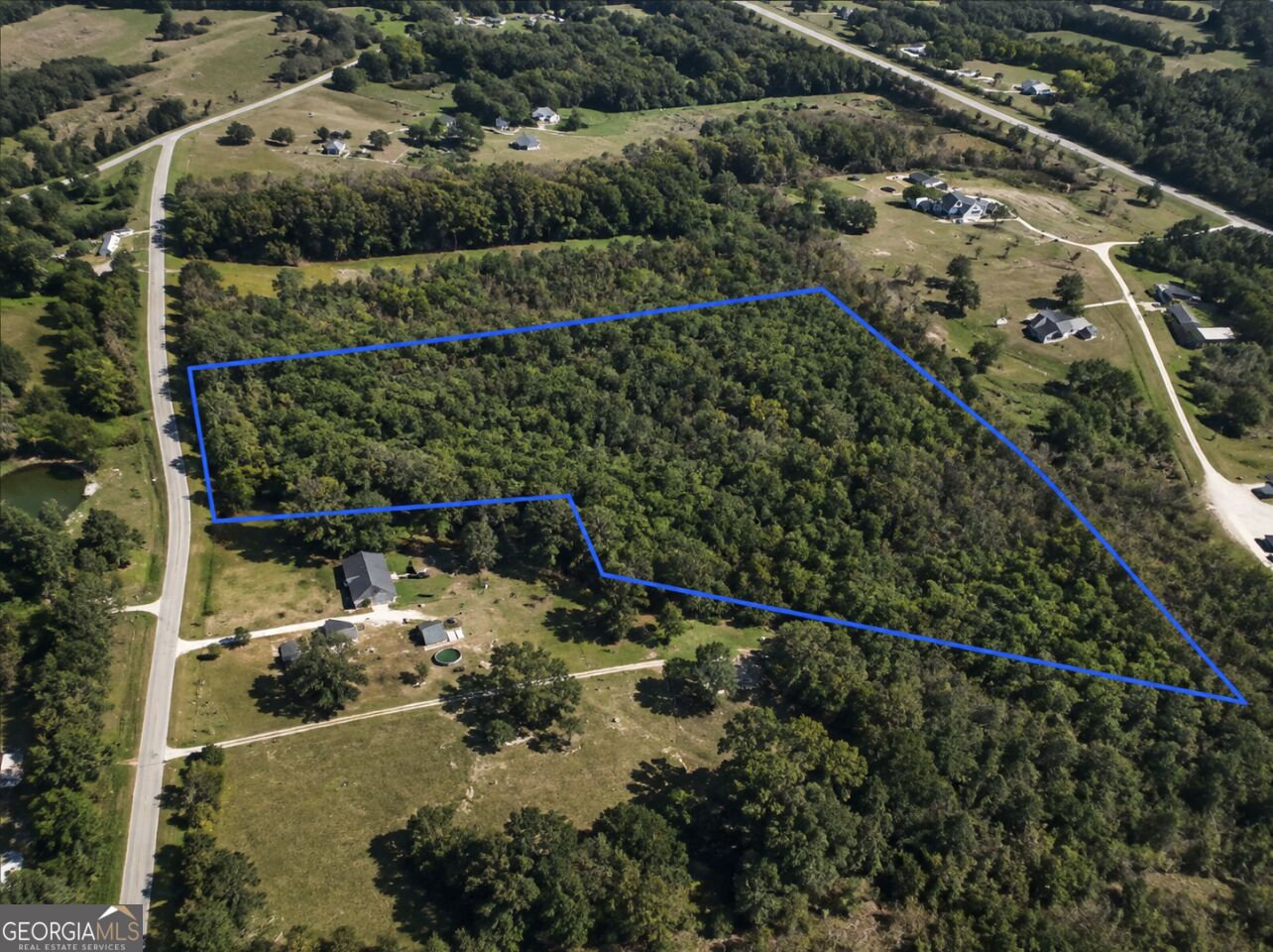 0 Lee Thompson Road Property Photo 3