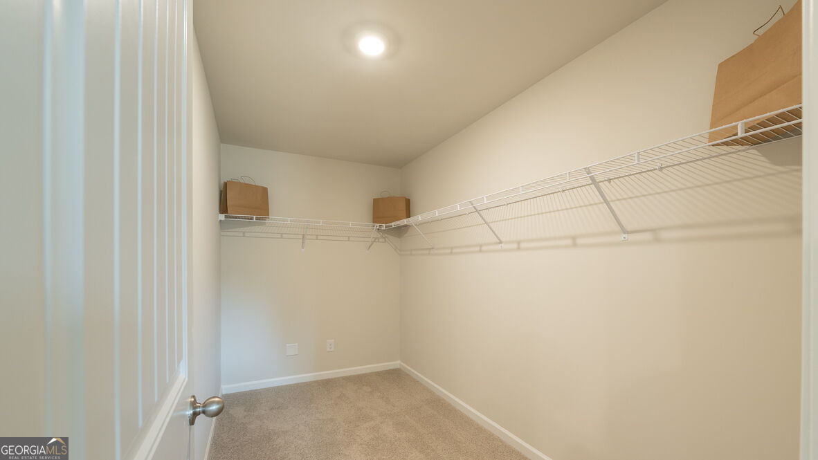4822 Guava Trace Property Photo 22