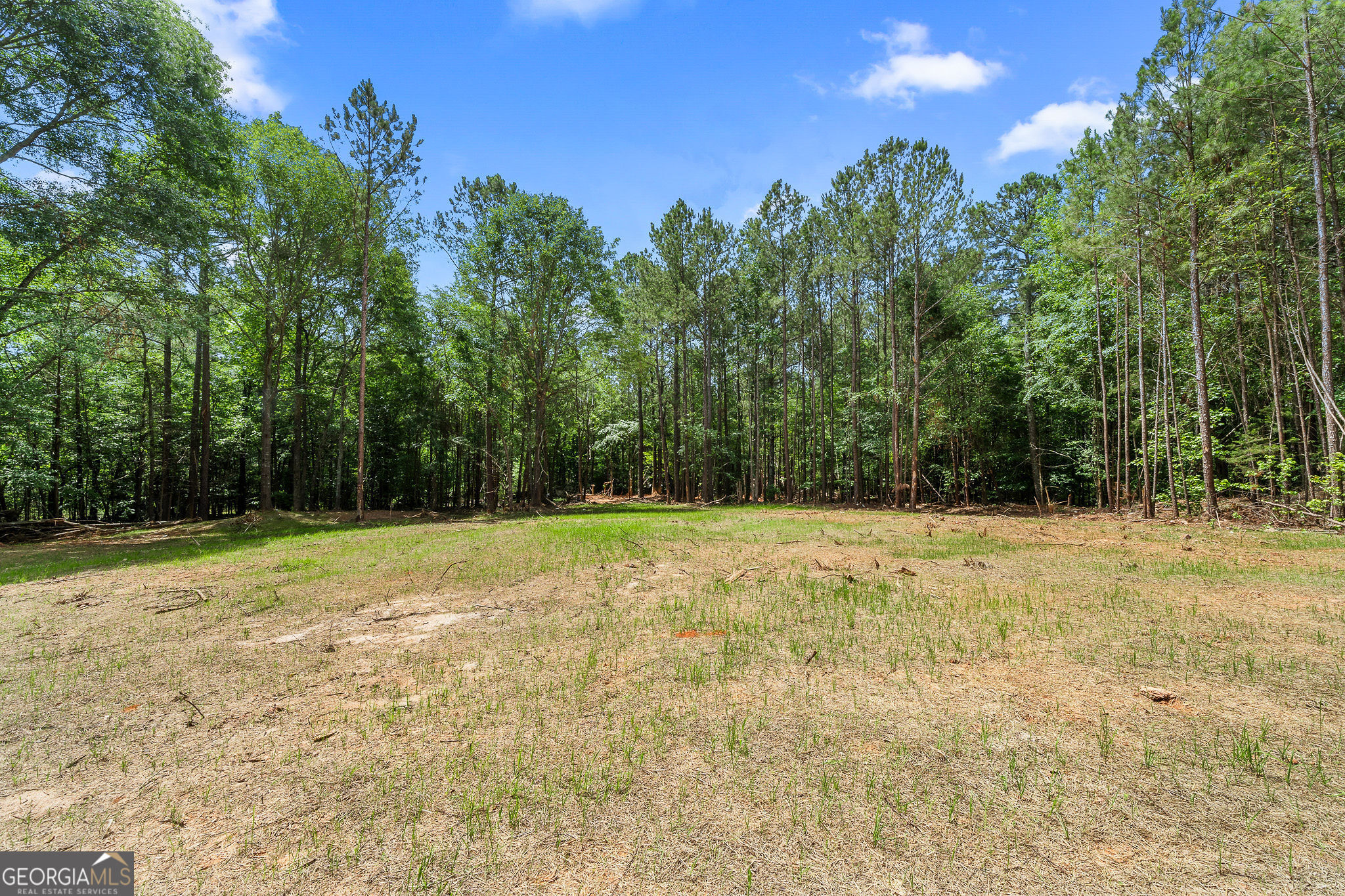 1617 Sweet City Road Property Photo 22
