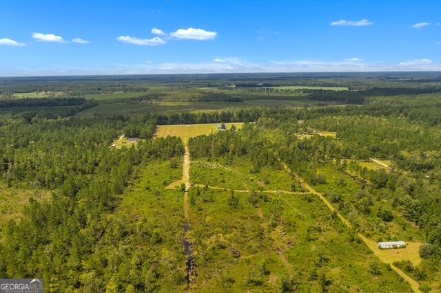 4858 Ga Highway 17 Property Photo 1