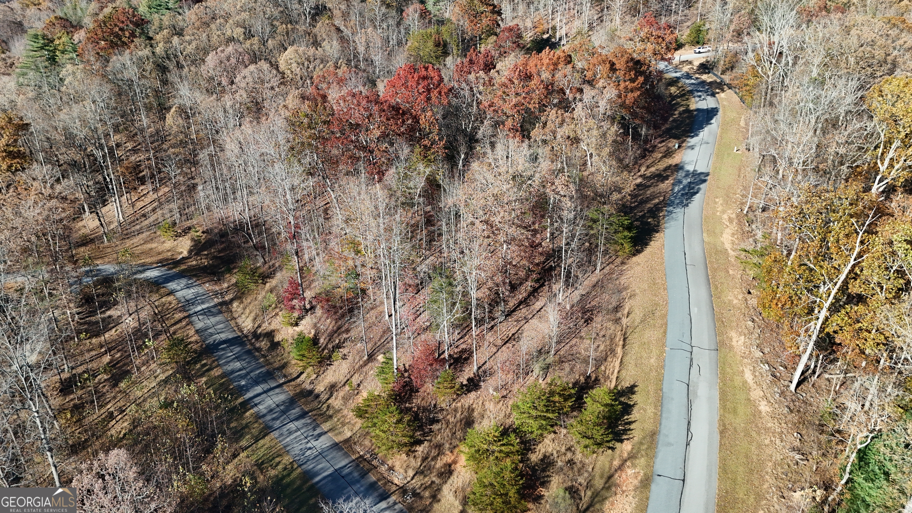 Lot 196 Springwinds Drive Property Photo 4