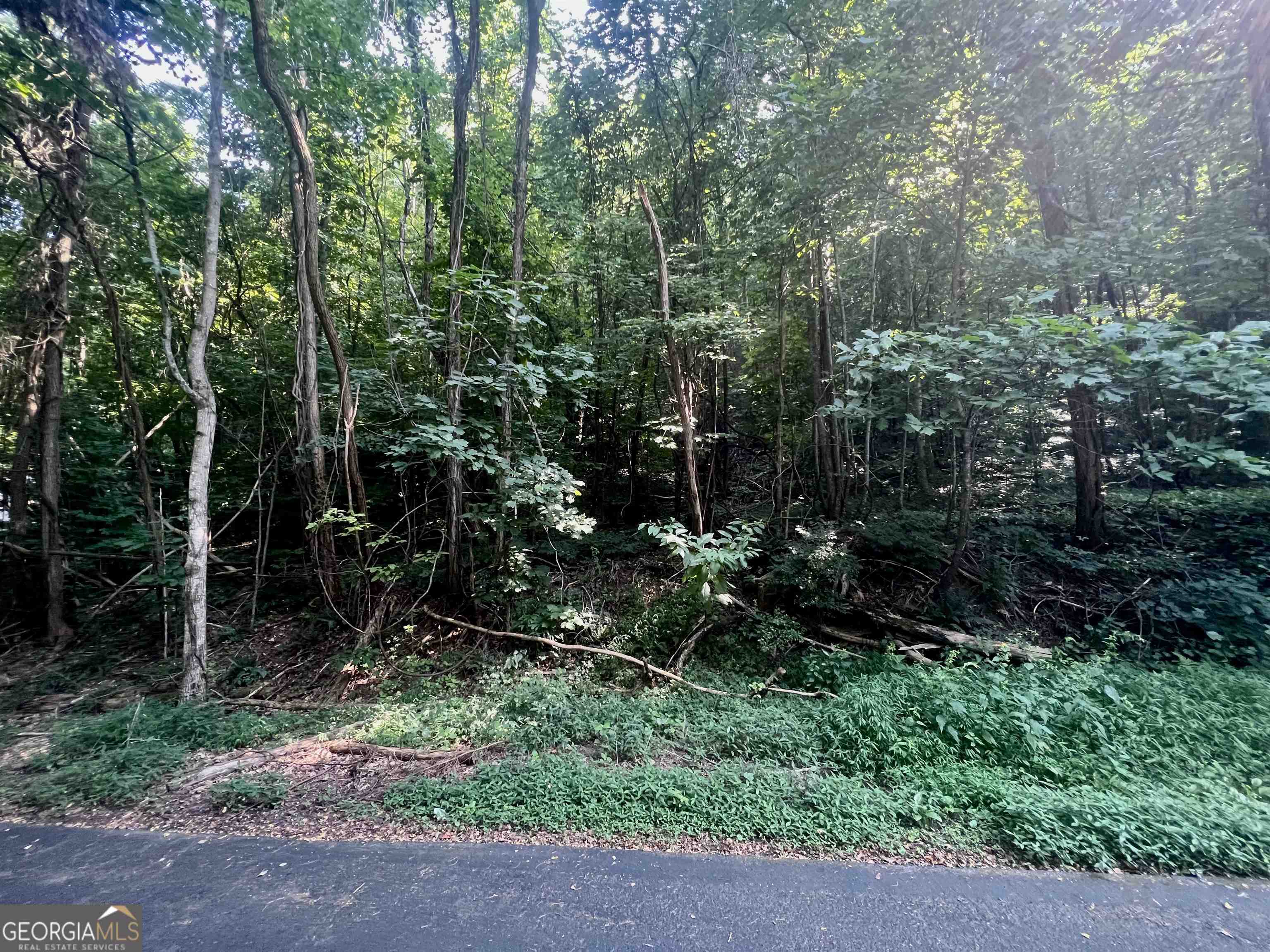 Lot 13 Chalet Drive Property Photo 1