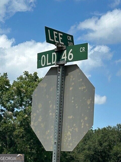 0 Lee Road Property Photo 2