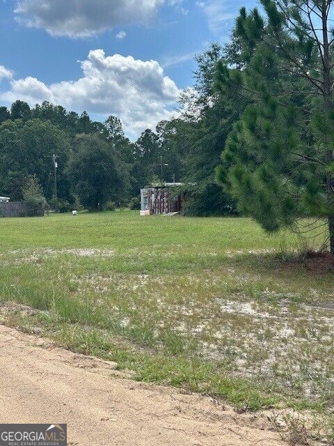 0 Lee Road Property Photo 4