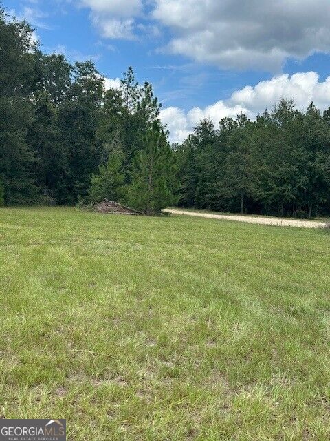 0 Lee Road Property Photo 5