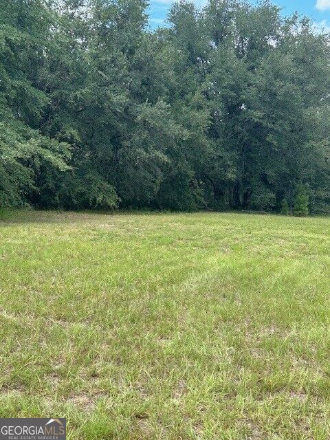 0 Lee Road Property Photo 6