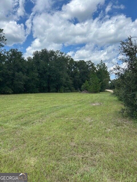 0 Lee Road Property Photo 8