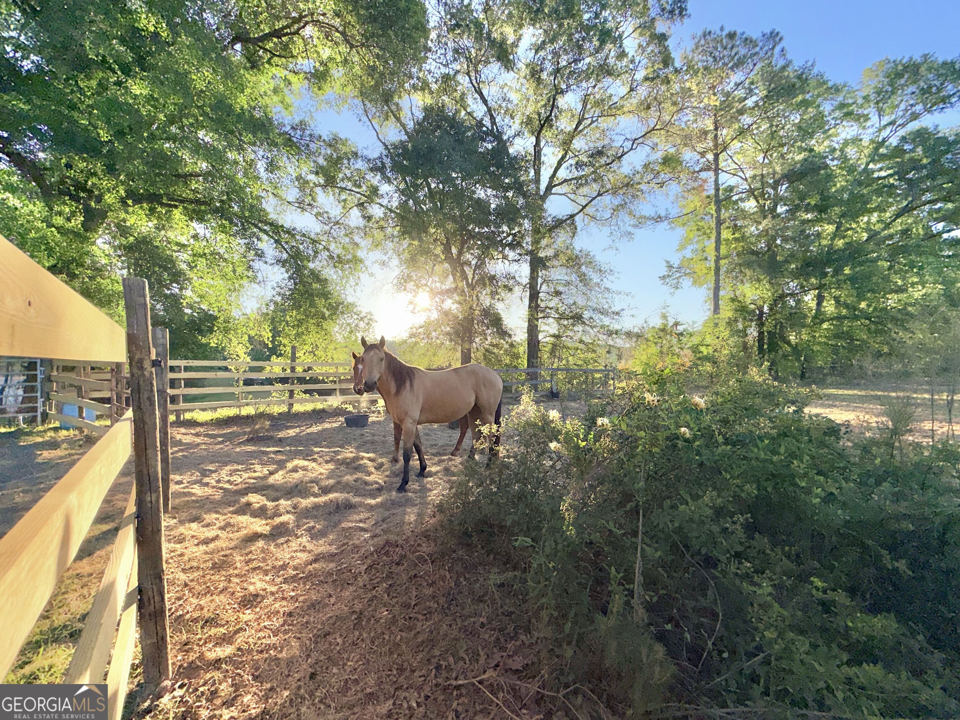 1525 Telfair Line Road Property Photo 55