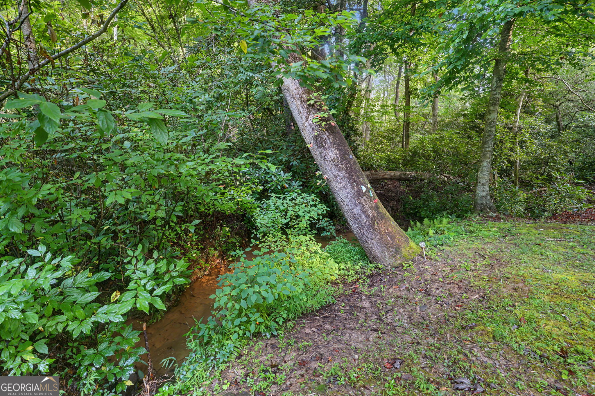 578 Highway 356 Property Photo 12