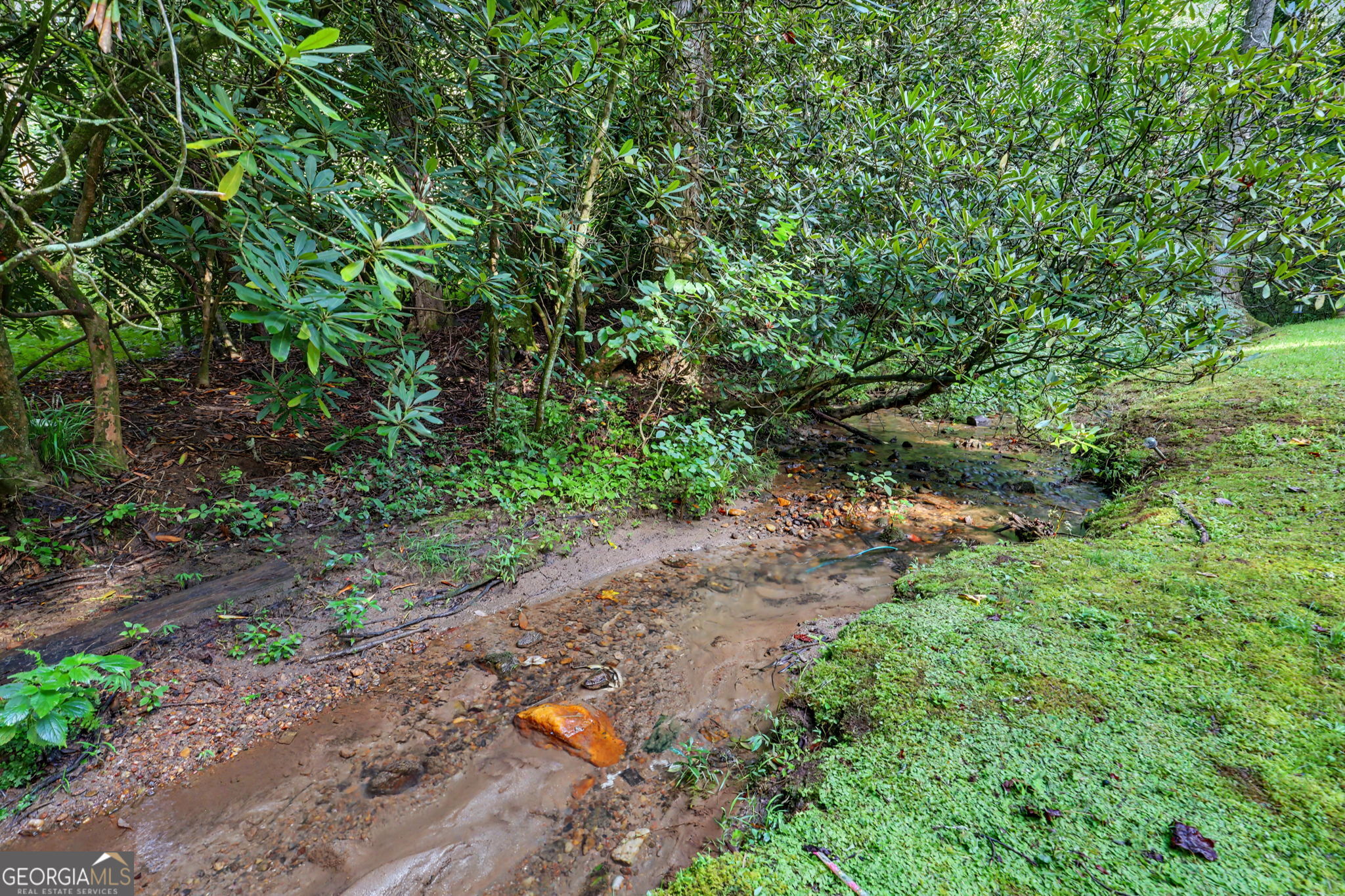 578 Highway 356 Property Photo 19