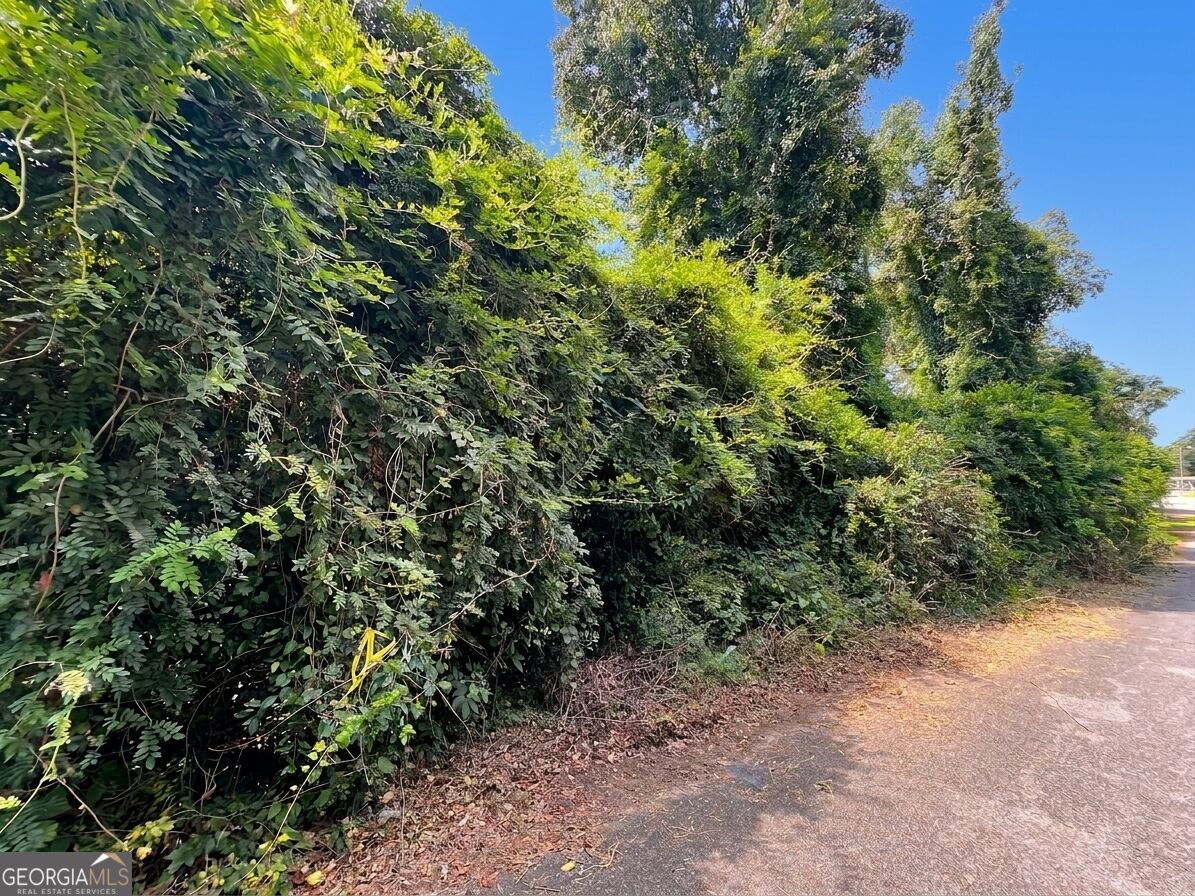 0 Ida Avenue Property Photo 2