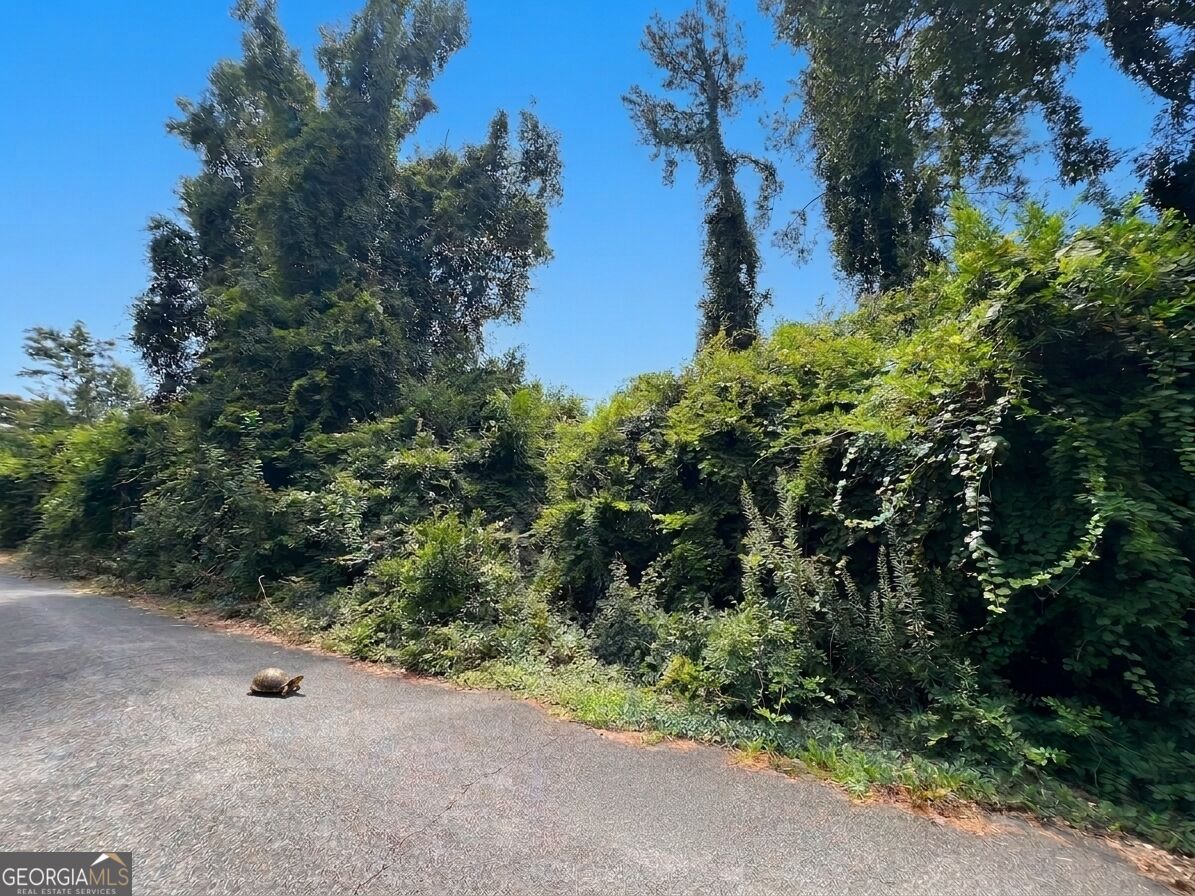 0 Ida Avenue Property Photo 5