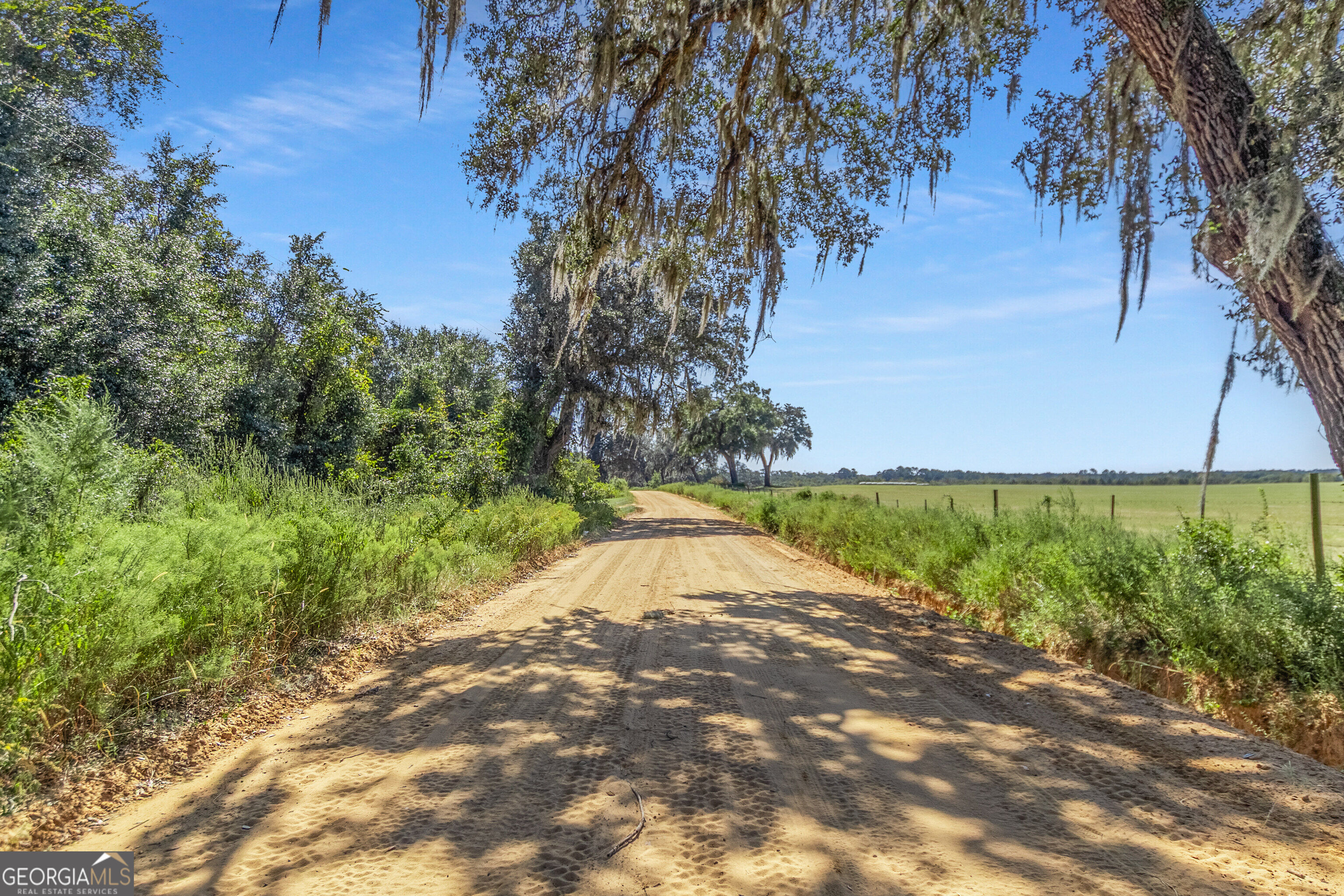 1110 Us Highway 280 W Property Photo 37
